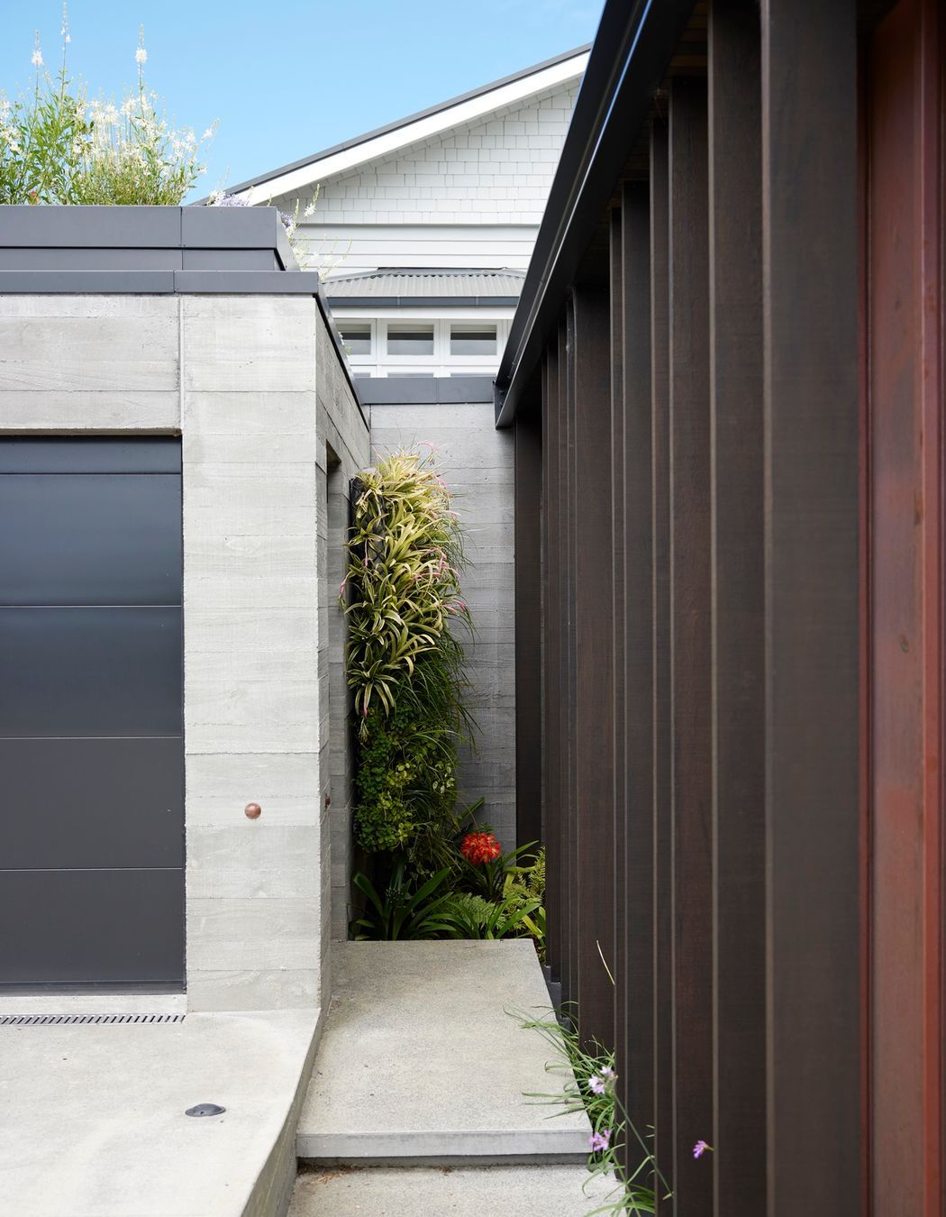 Remuera Rooftop Garden
