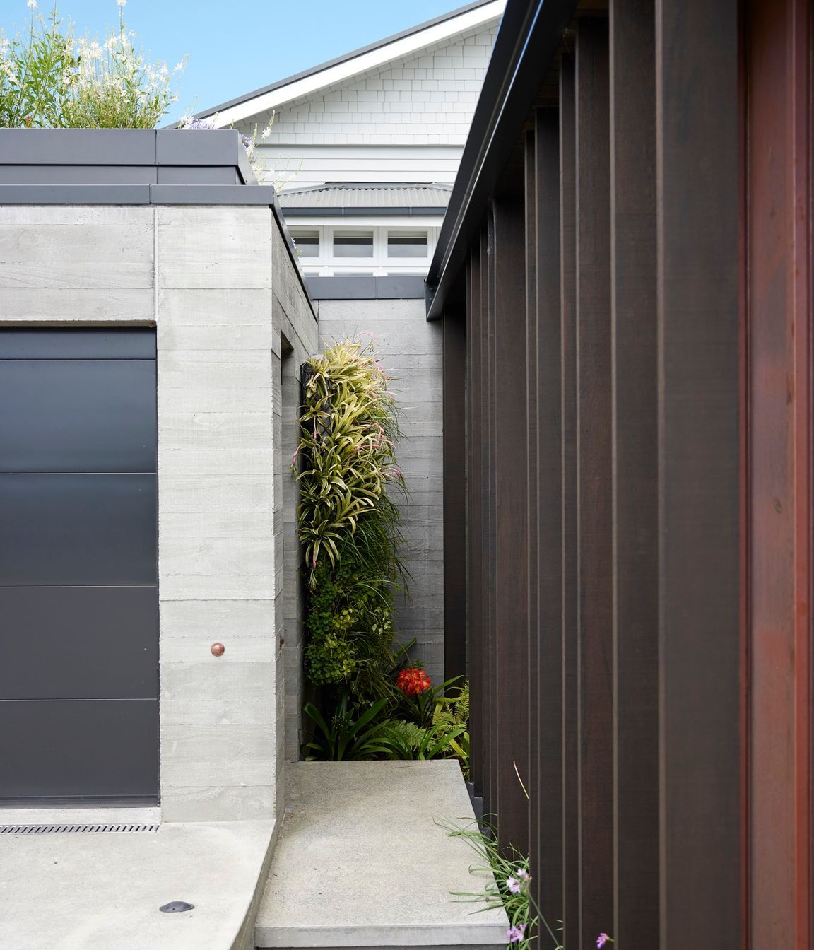 Remuera Rooftop Garden