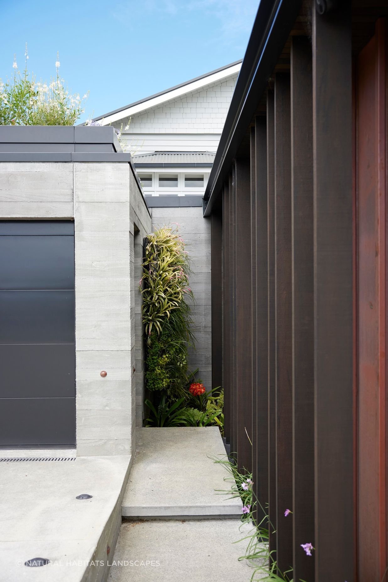Remuera Rooftop Garden