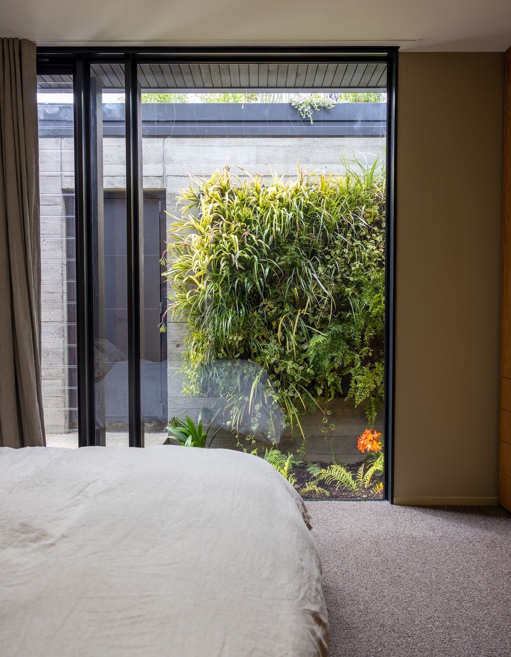 Remuera Rooftop Garden