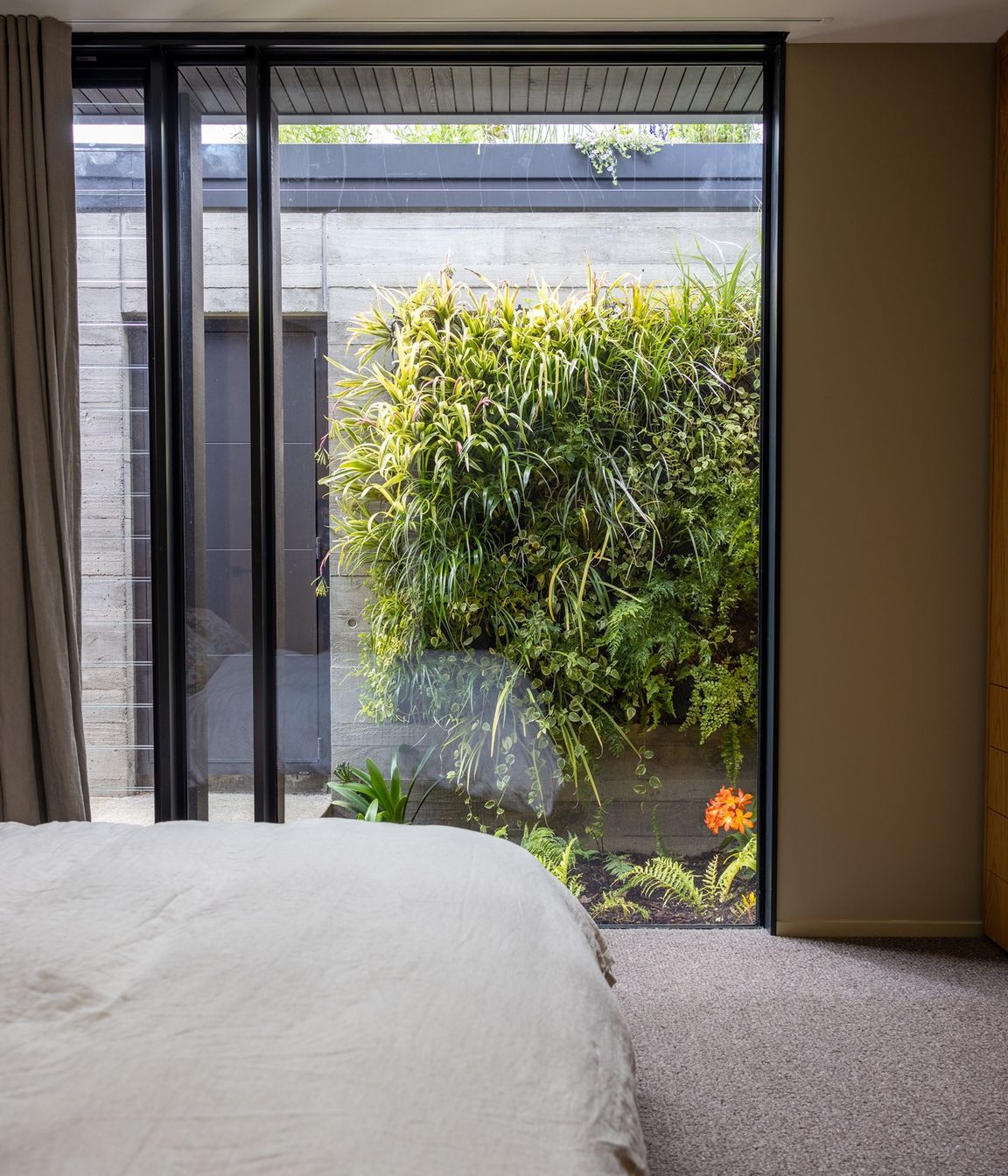 Remuera Rooftop Garden