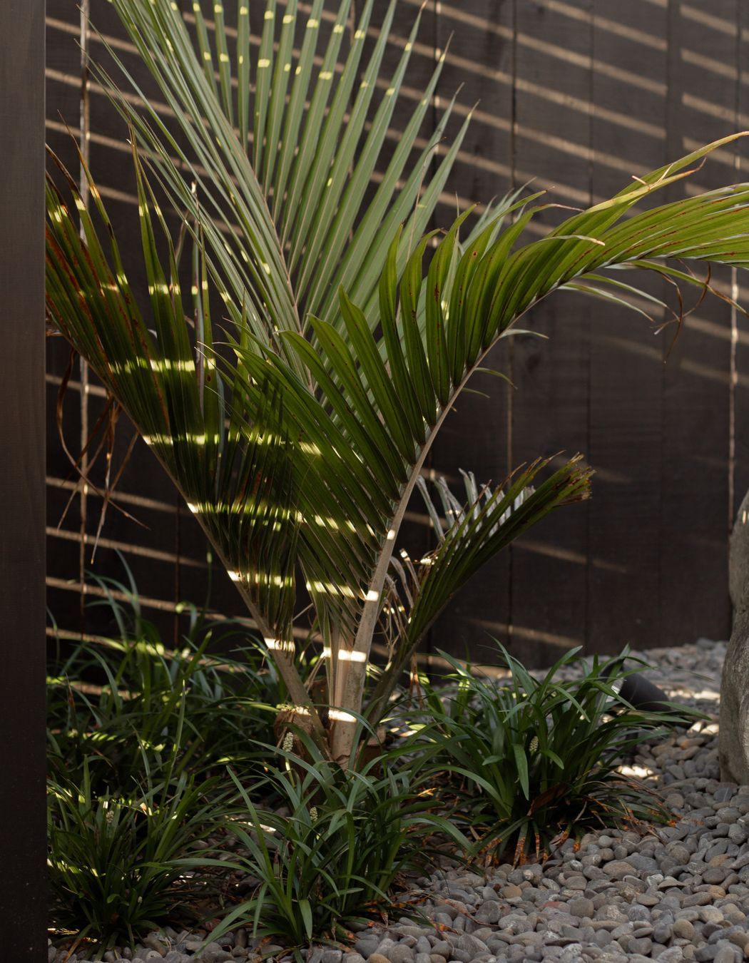 Urban Oasis