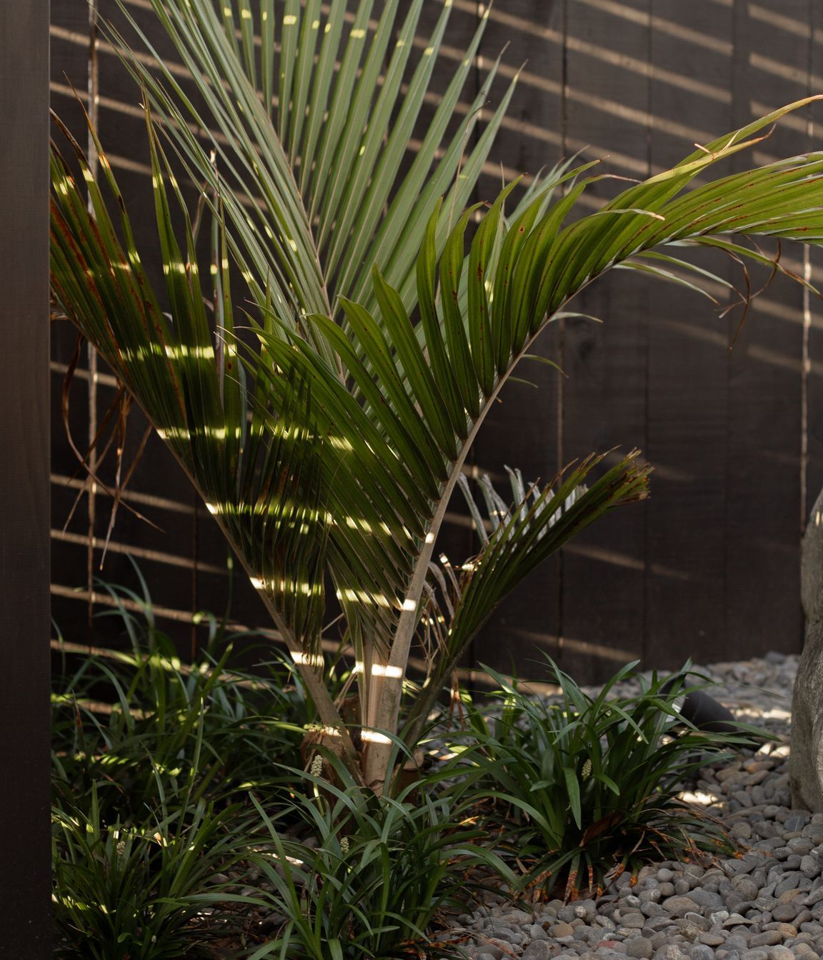 Urban Oasis