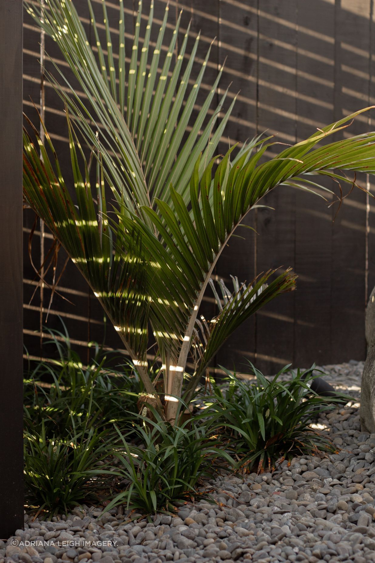 Urban Oasis