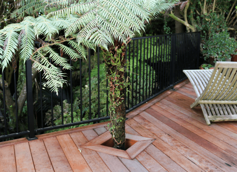 Deck Integrated with Native Bush and Built Over a Stream