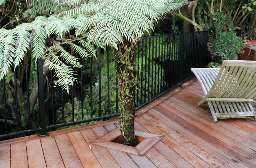 Deck Integrated with Native Bush and Built Over a Stream