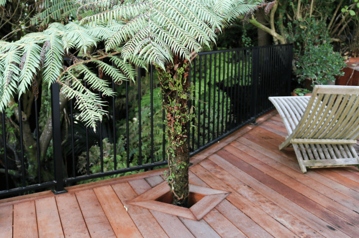 Deck Integrated with Native Bush and Built Over a Stream