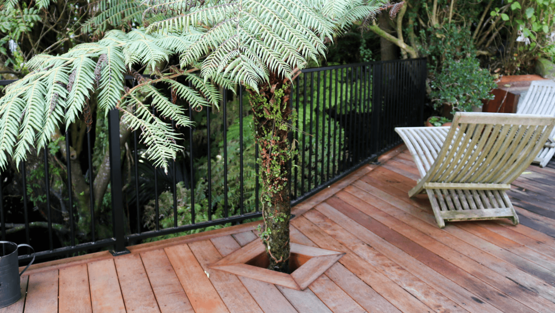 Deck Integrated with Native Bush and Built Over a Stream banner
