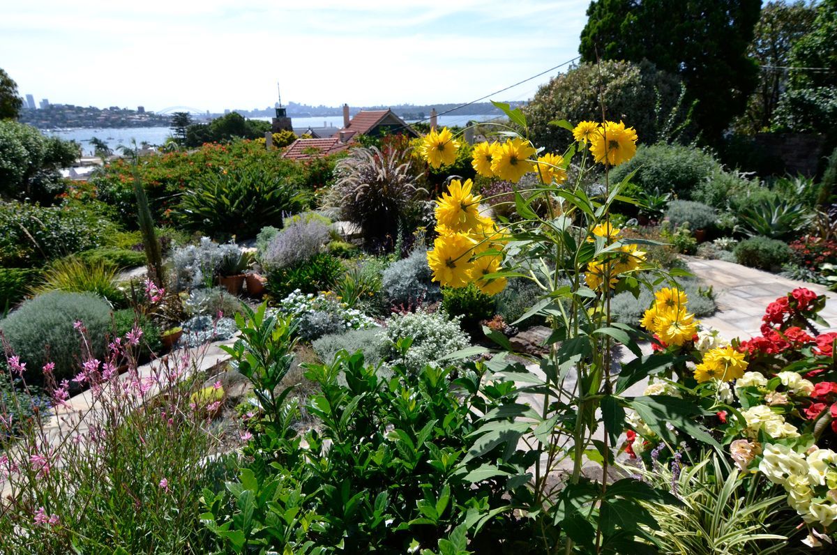 Rose Bay