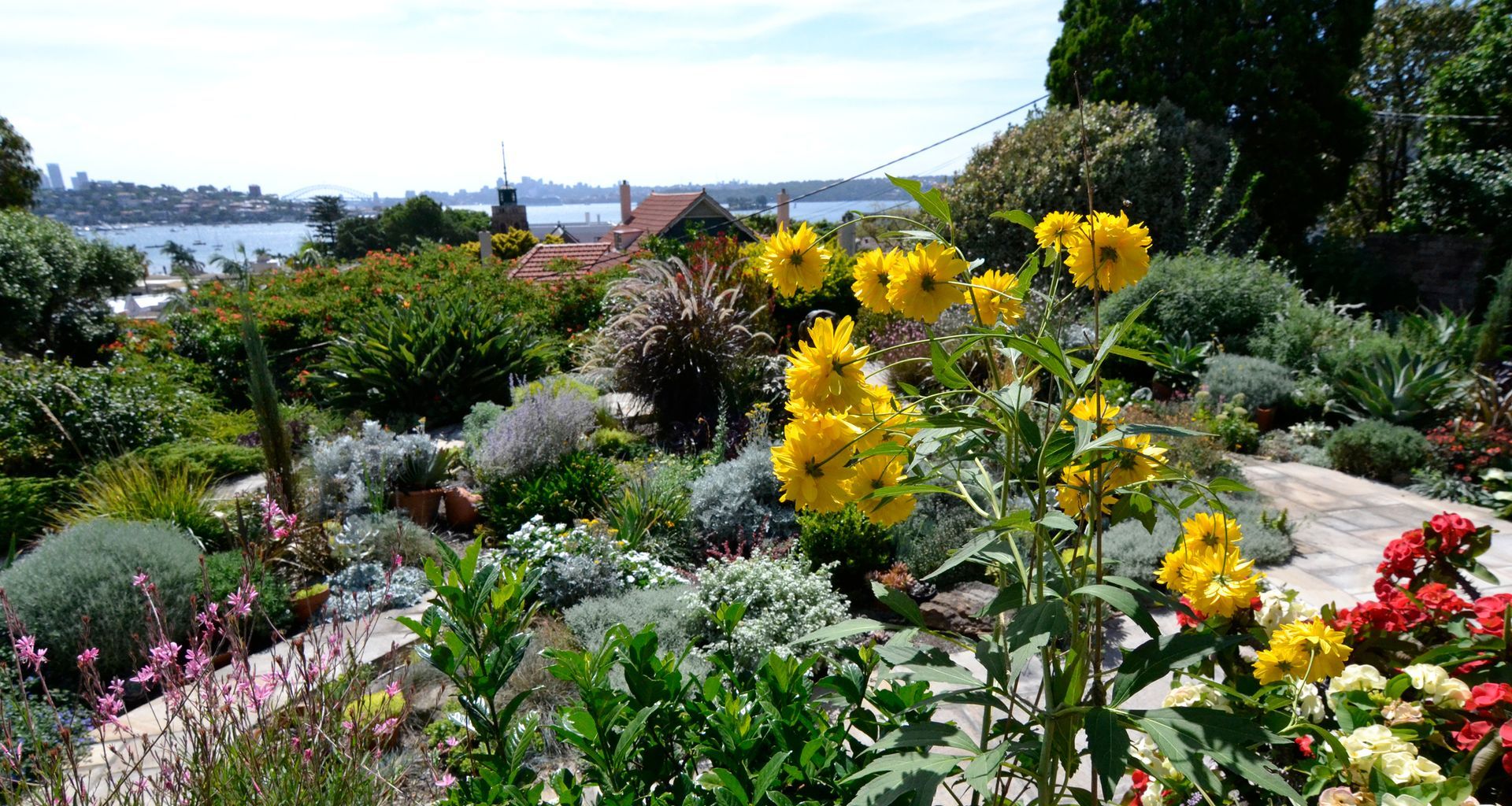 Rose Bay banner