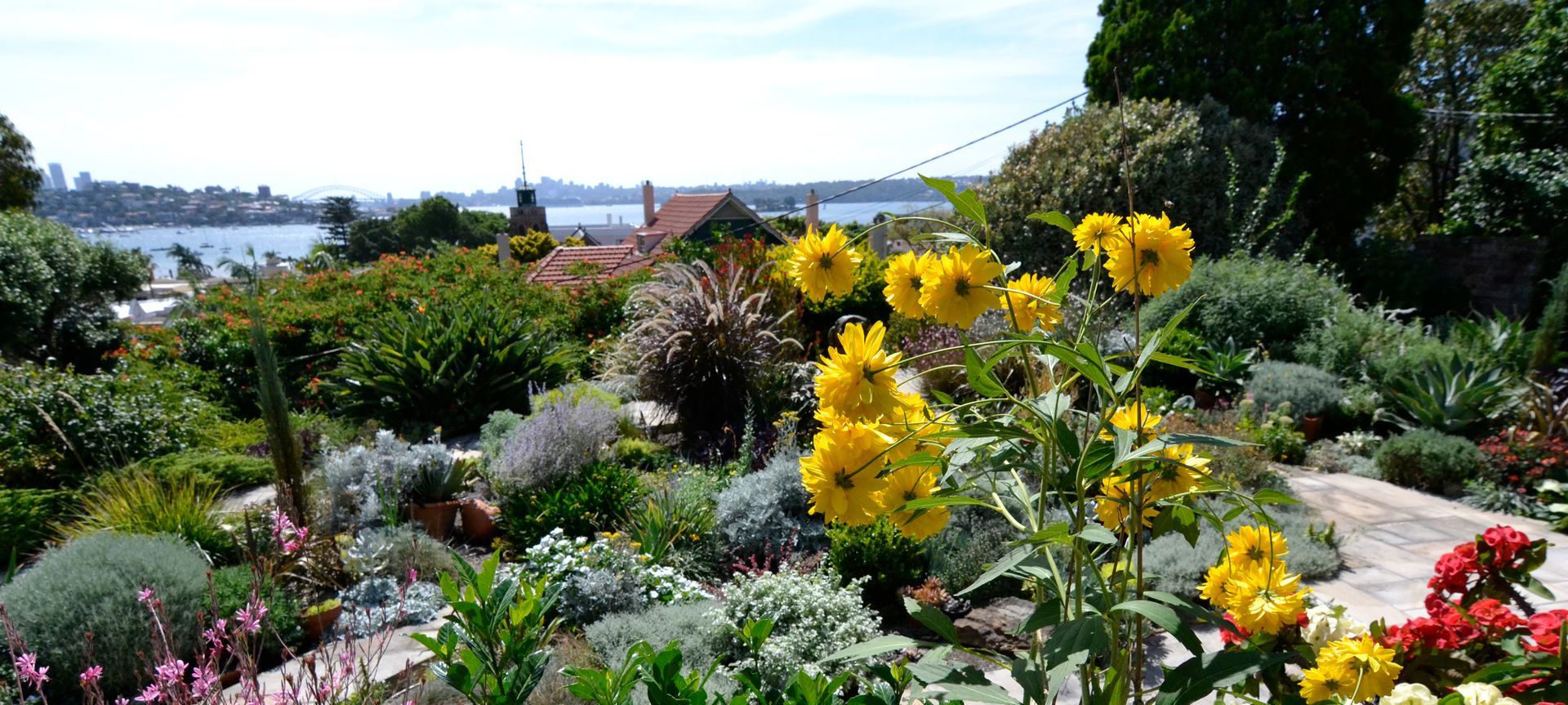 Rose Bay banner