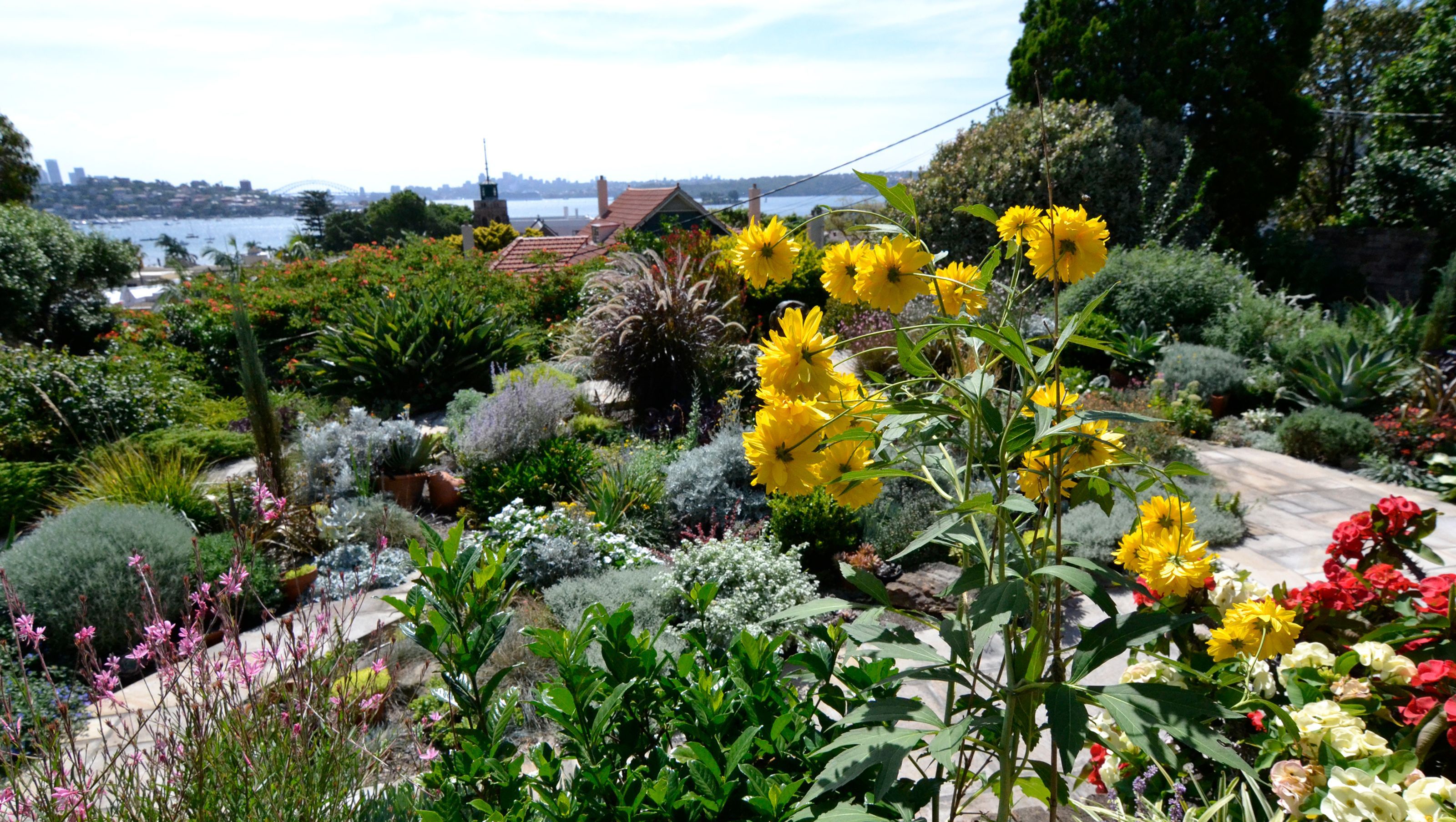 Rose Bay