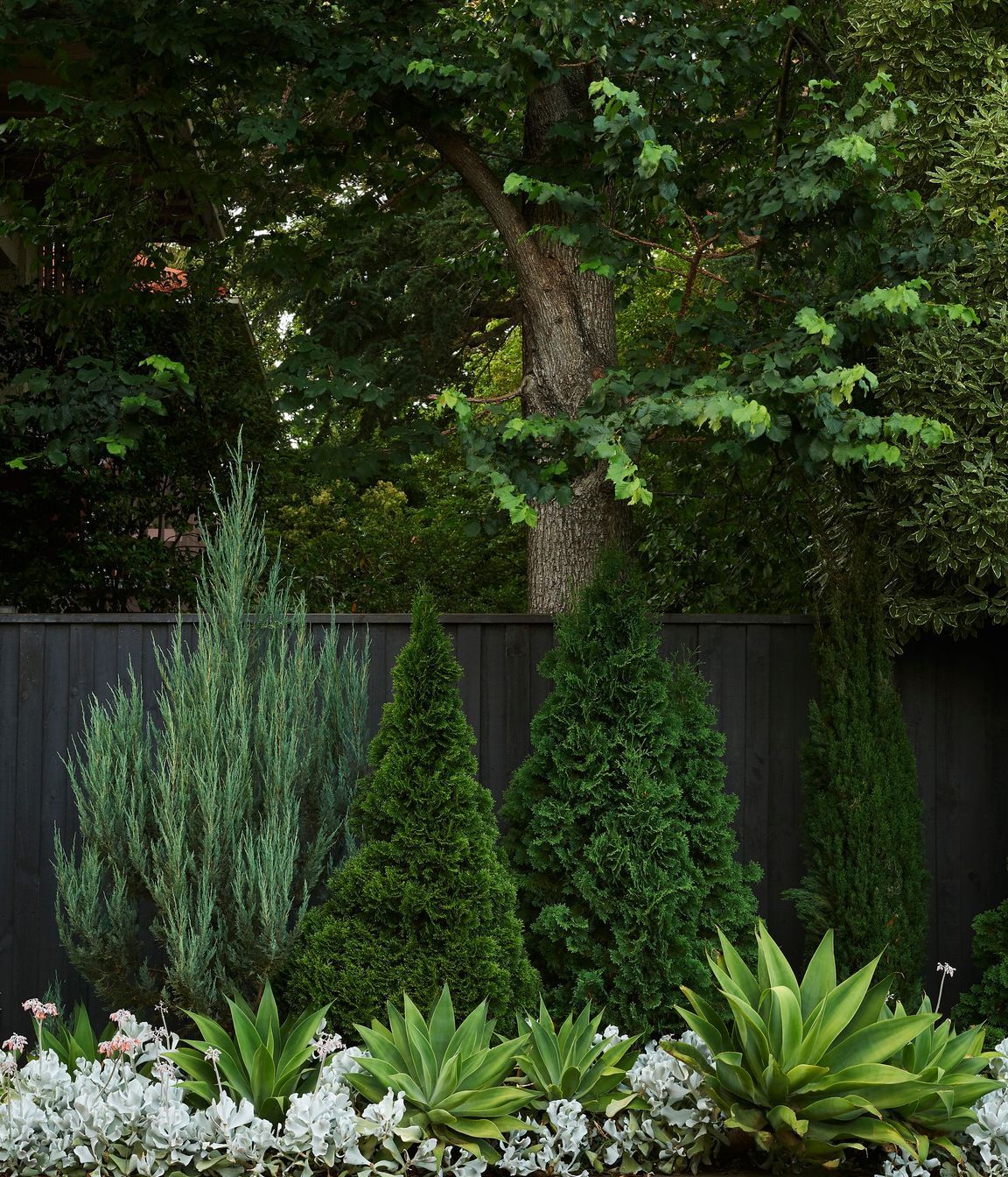 Toorak