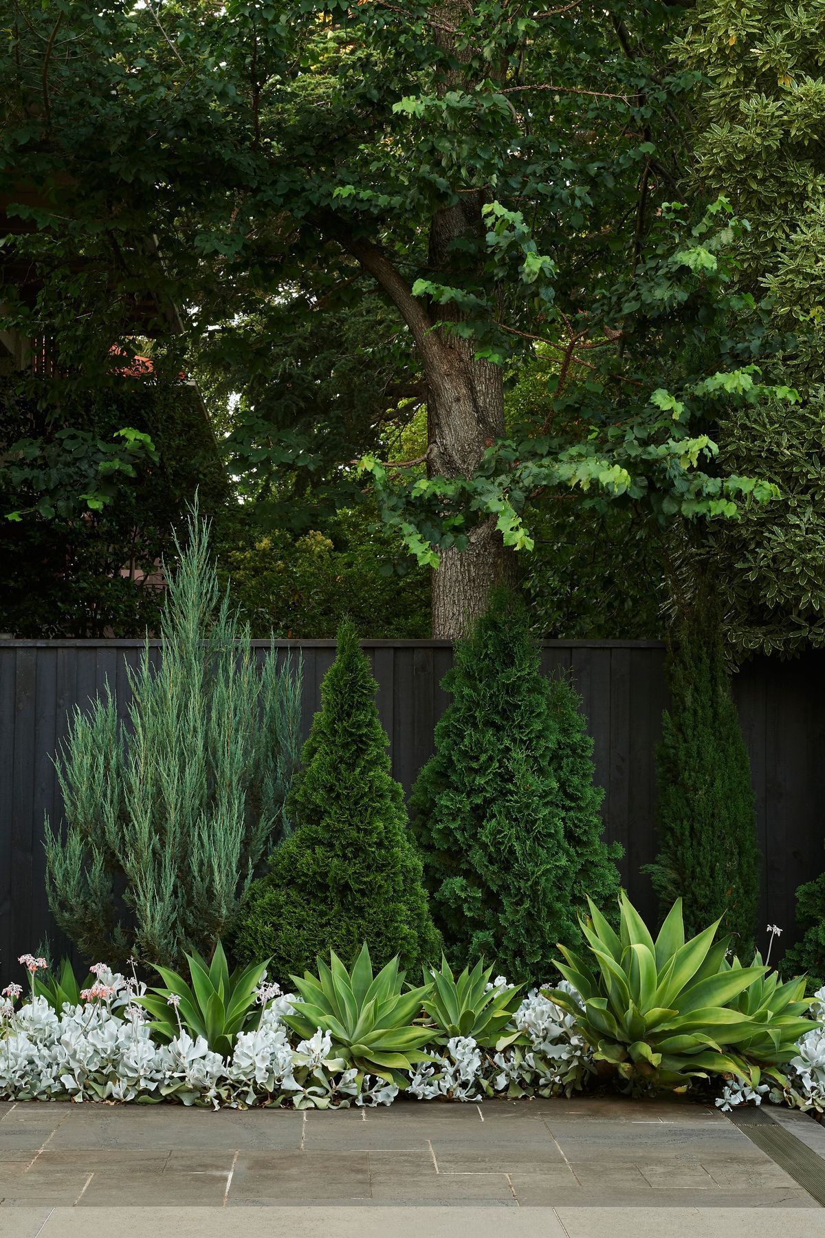Toorak