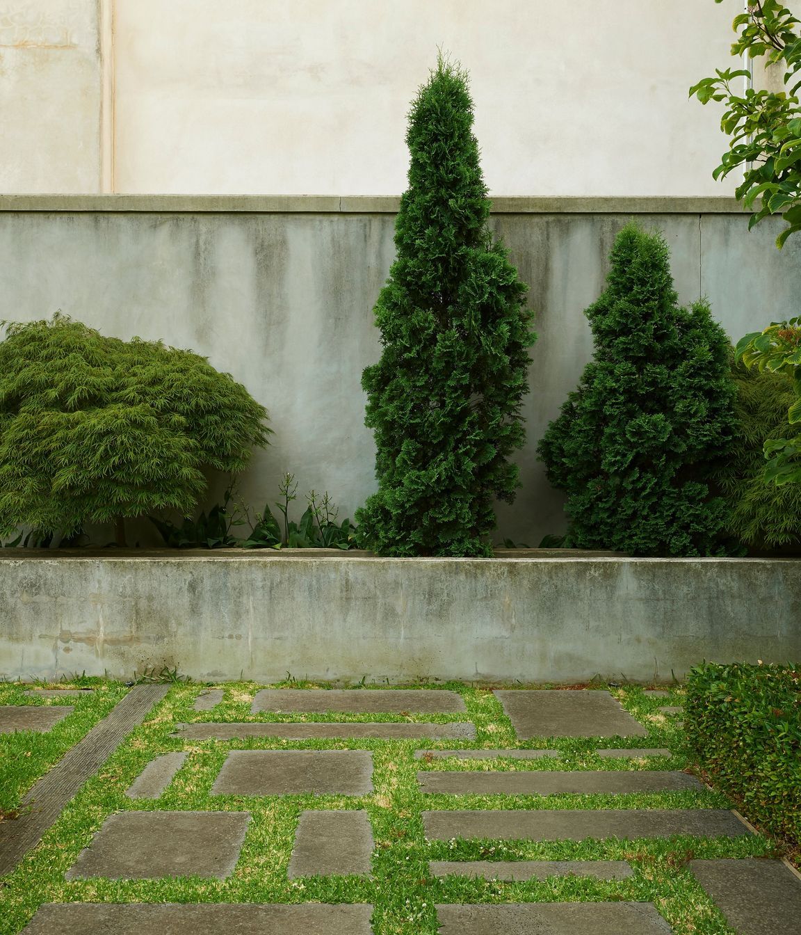 Toorak
