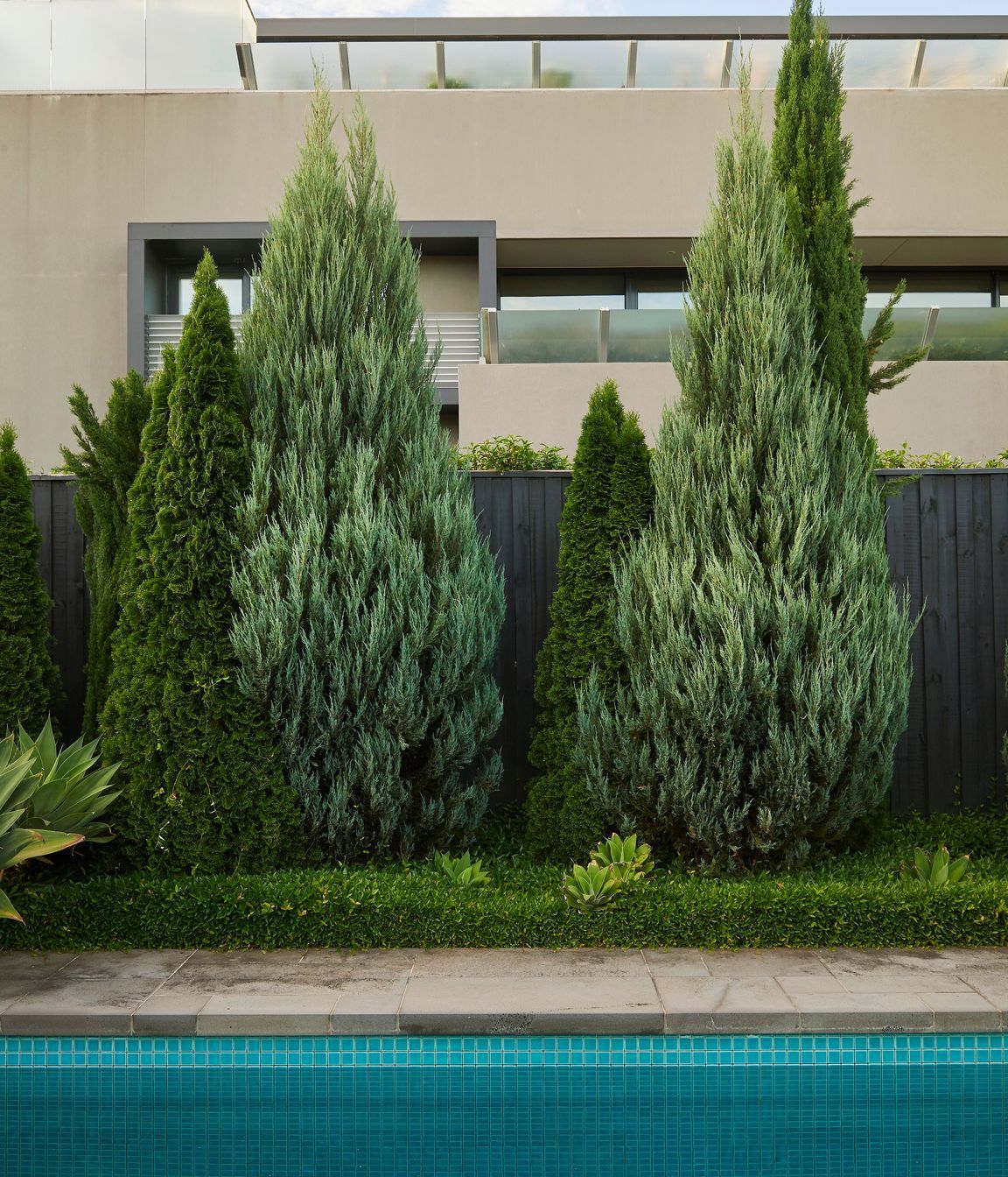 Toorak