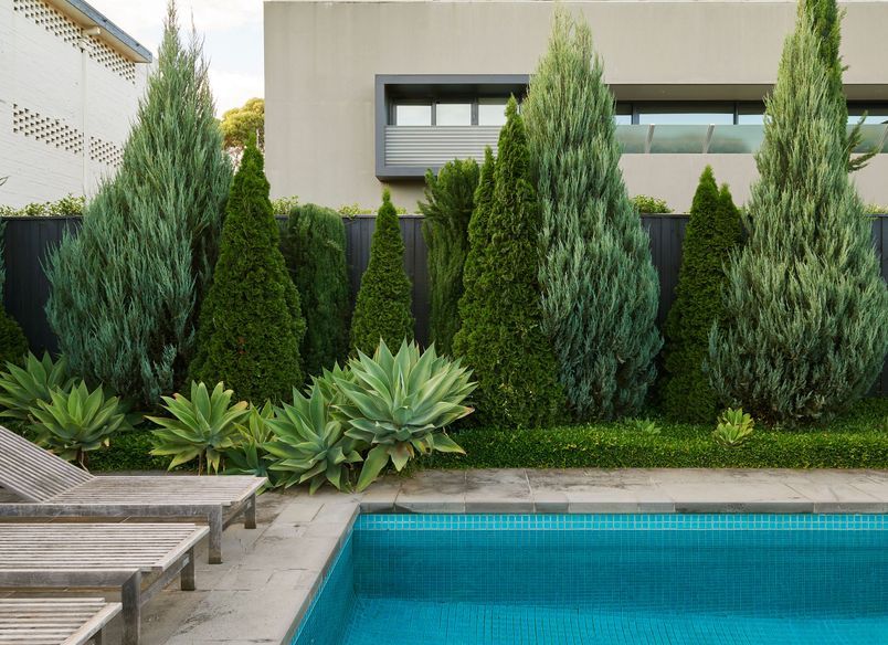 Toorak