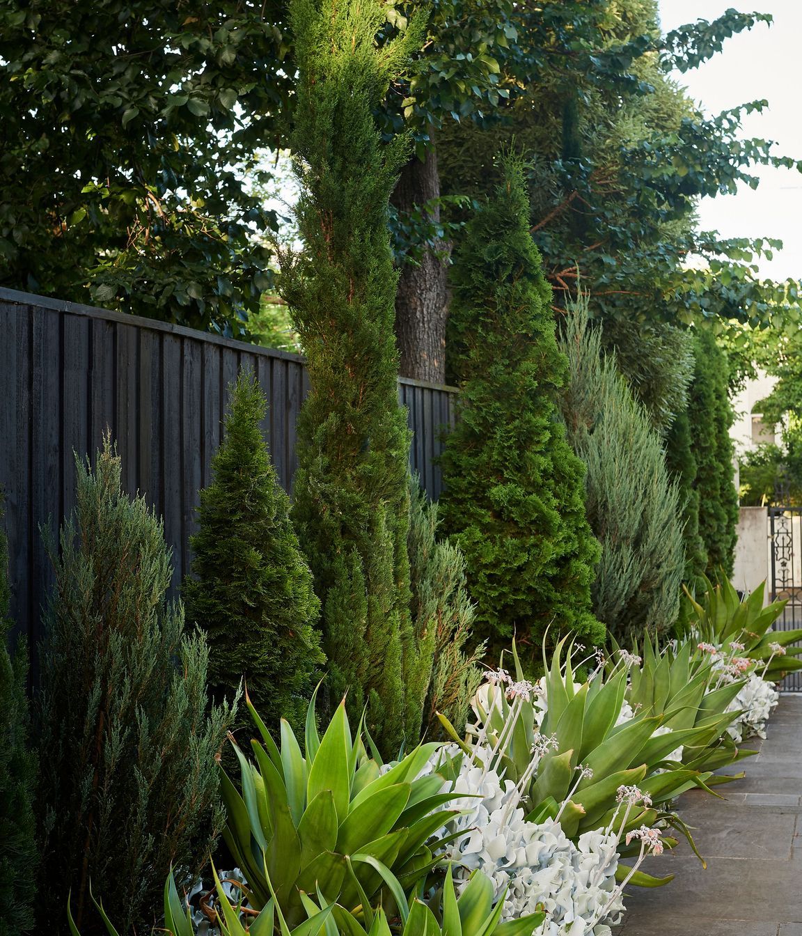 Toorak