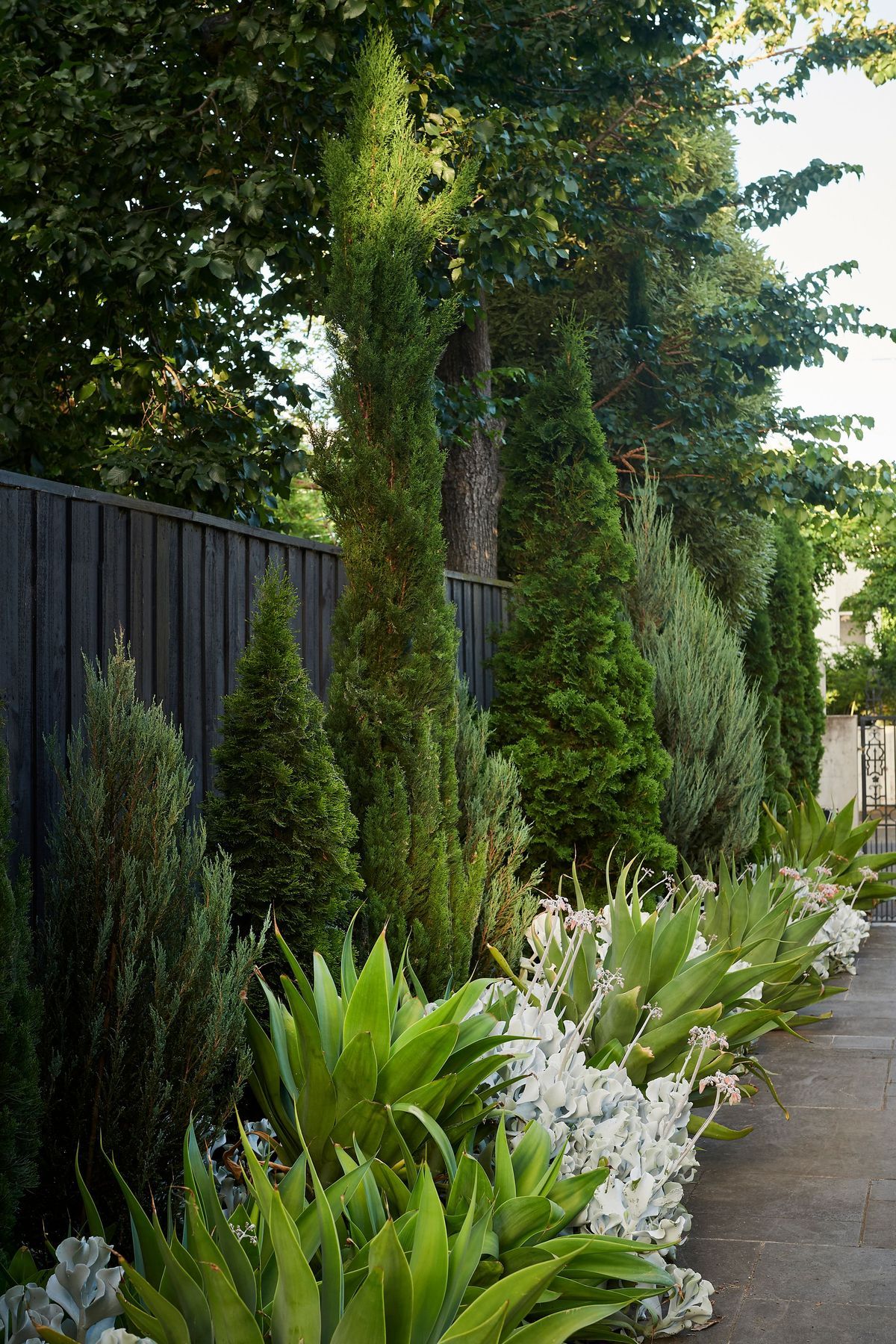Toorak