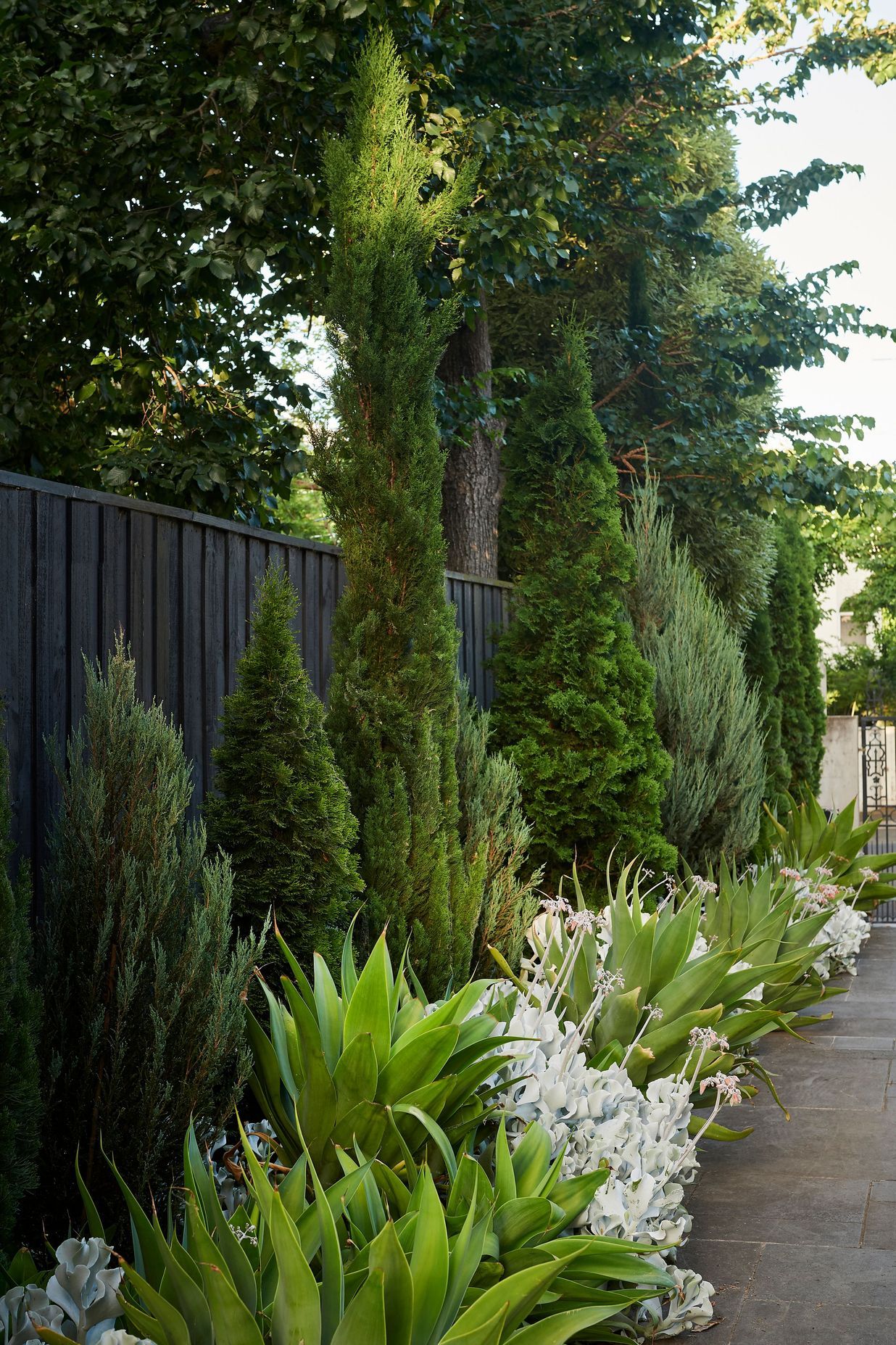 Toorak