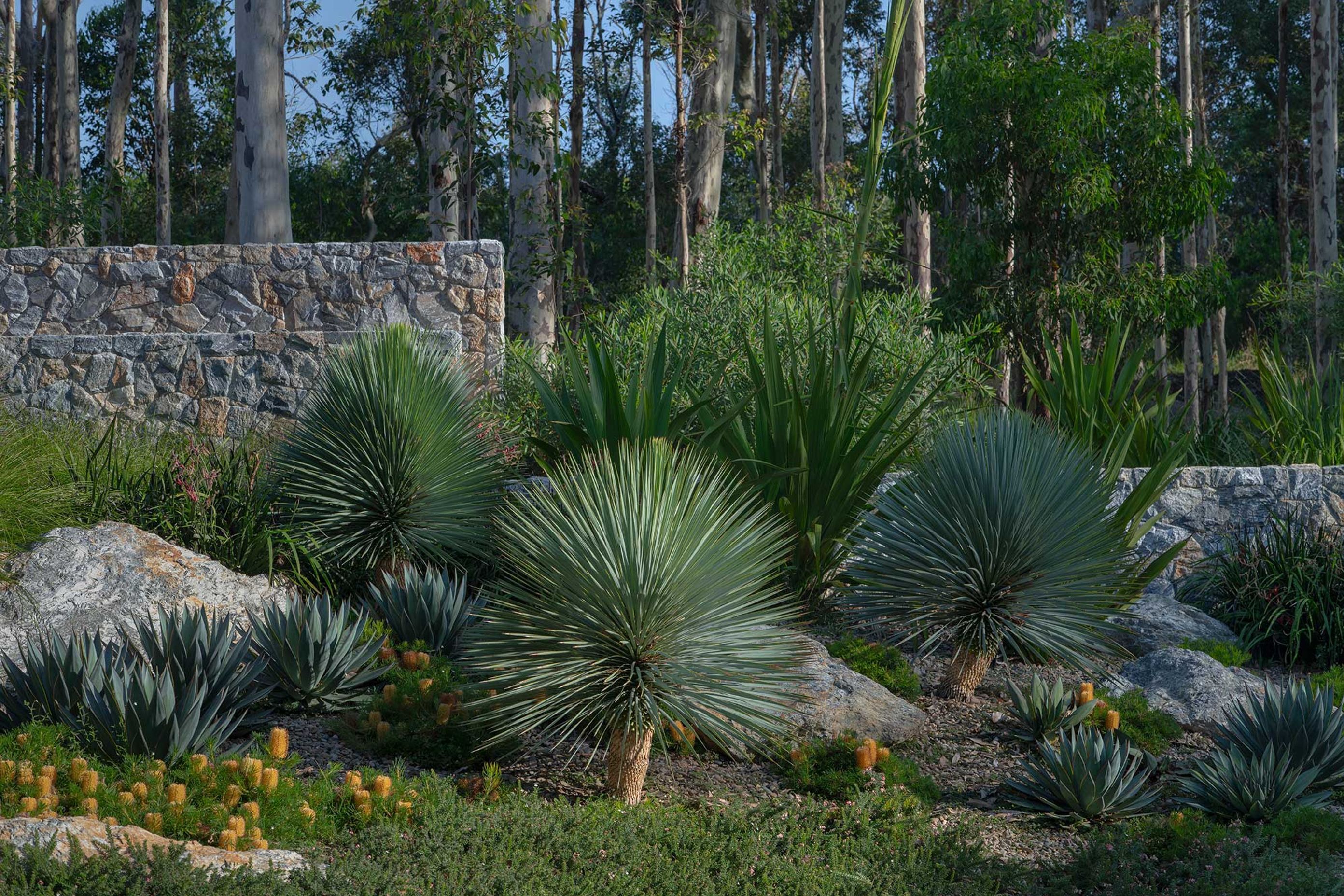 SG-BRACKEN-03-20250394.jpg