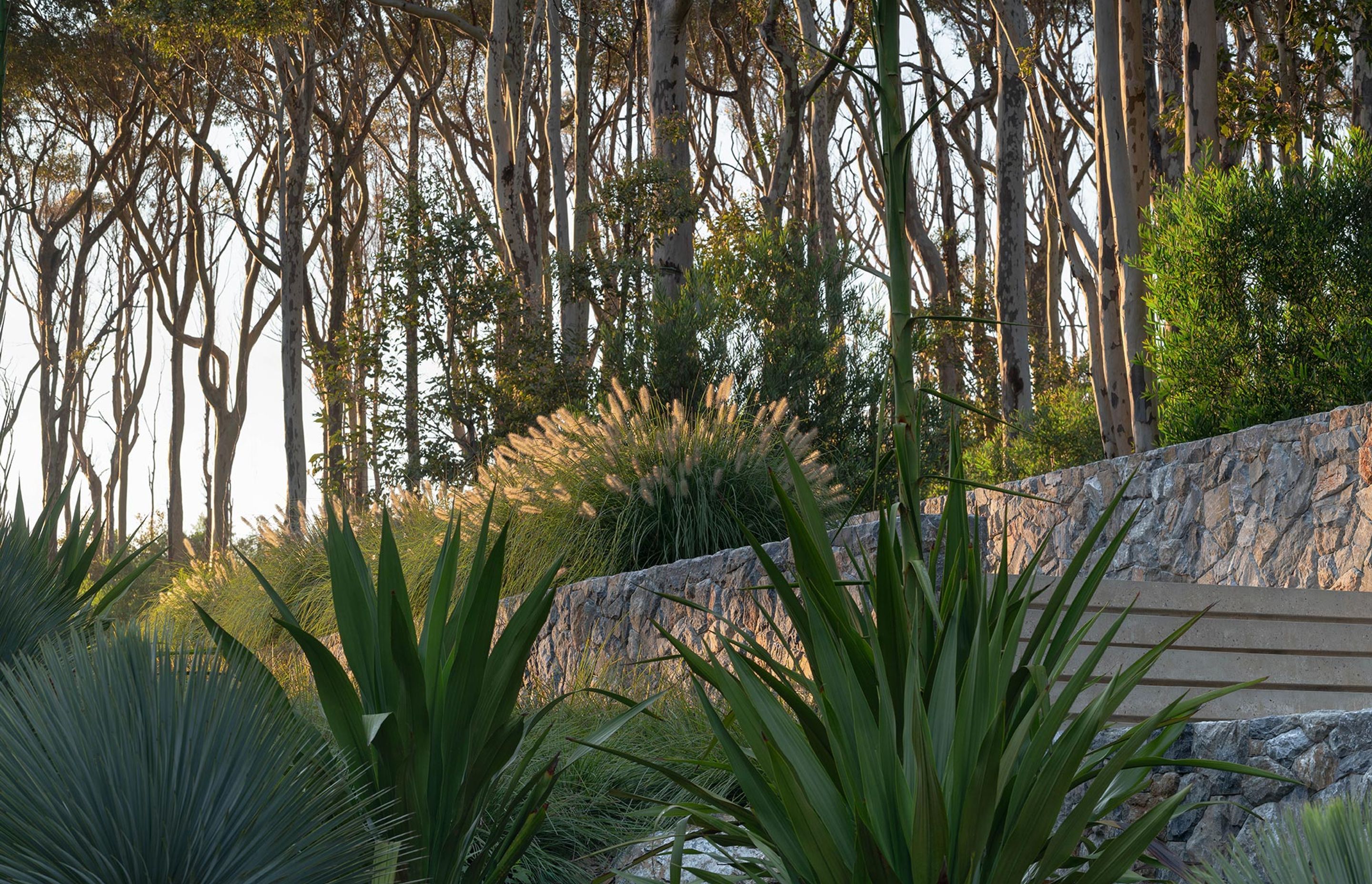 SG-BRACKEN-03-20250682.jpg
