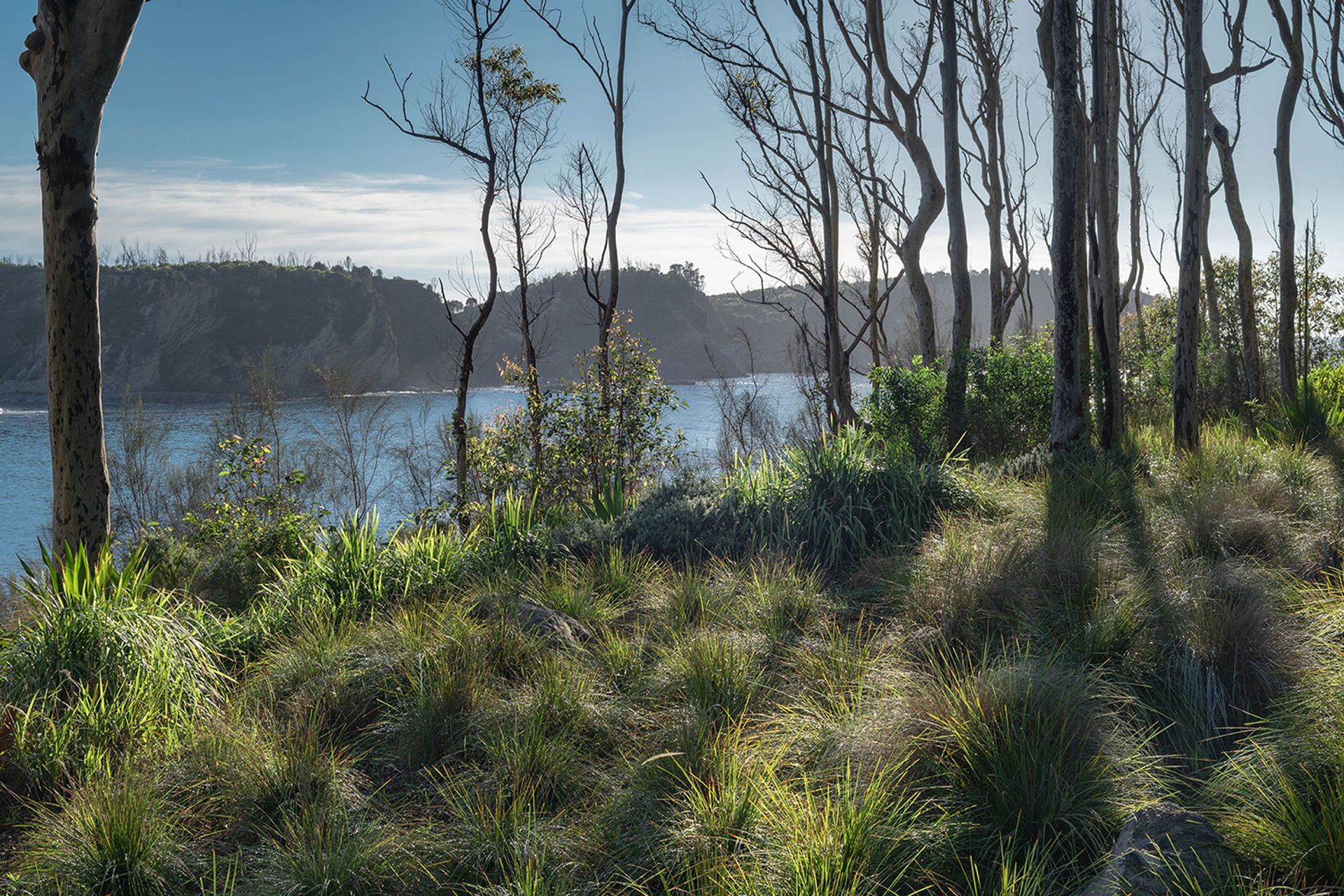 SG-BRACKEN-03-20250858.jpg