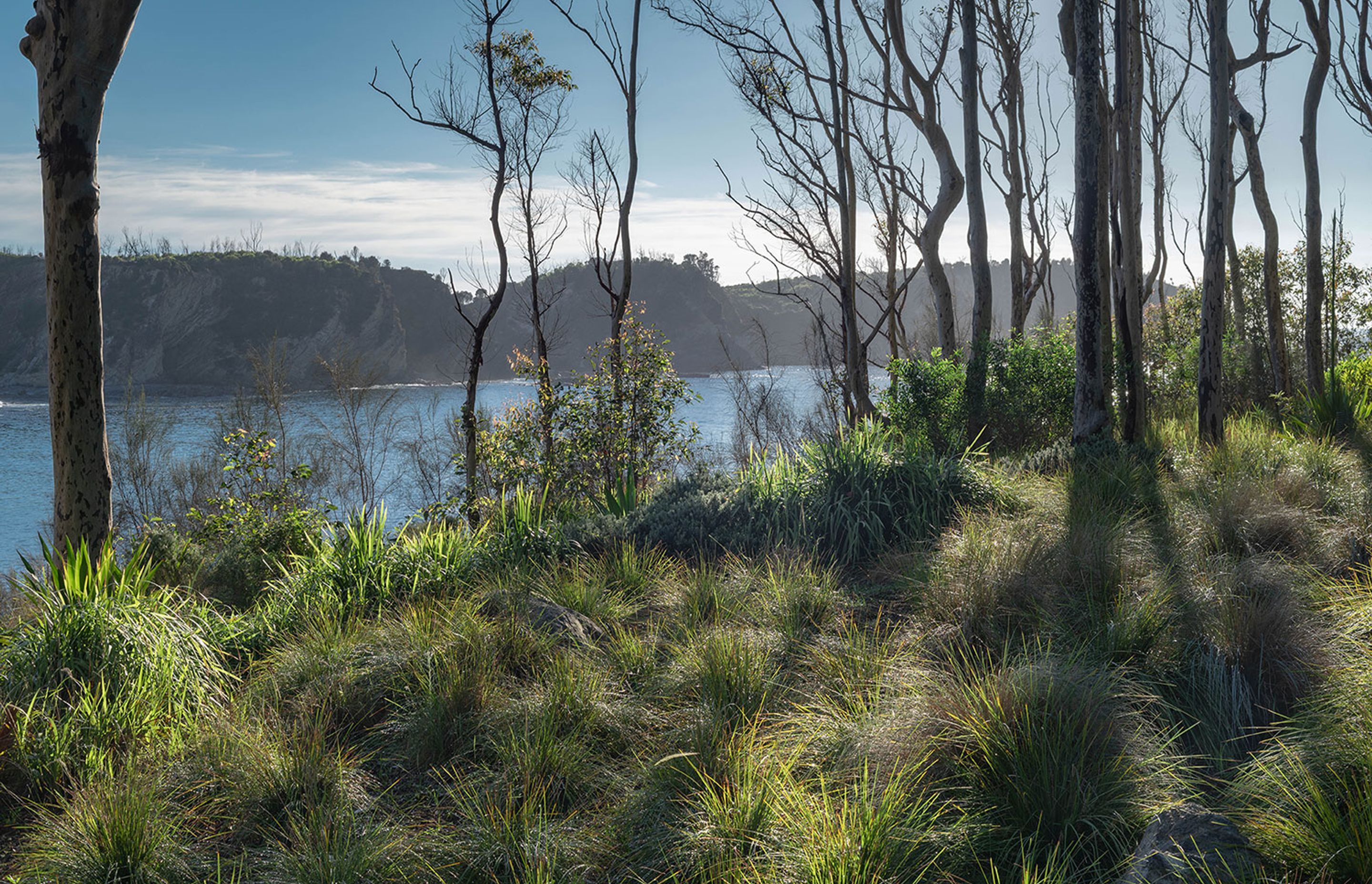 SG-BRACKEN-03-20250858.jpg