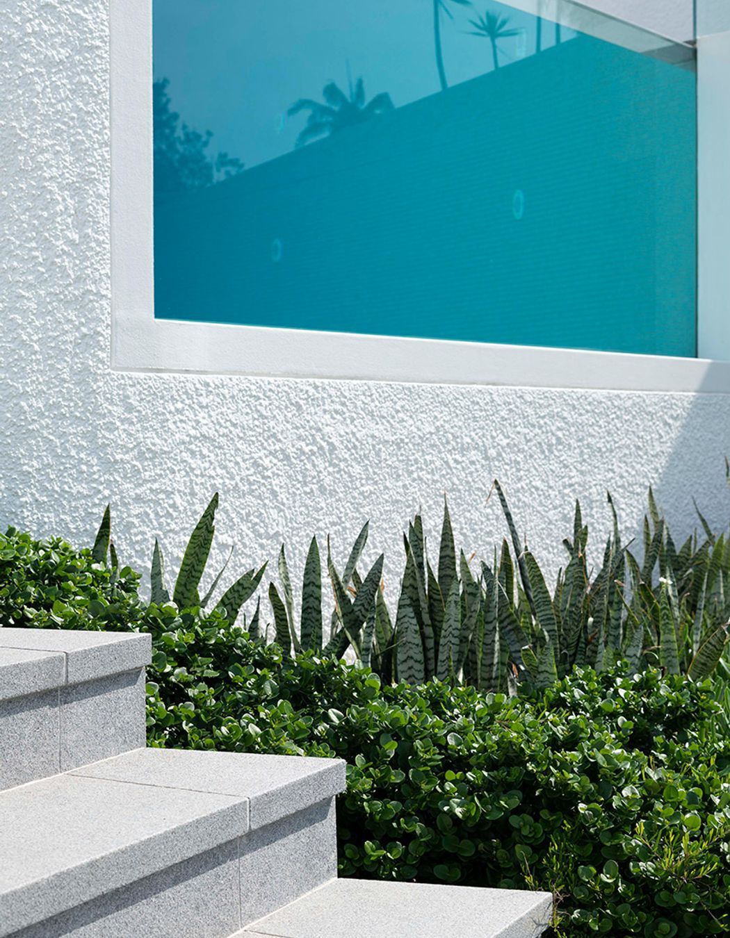 Cove House