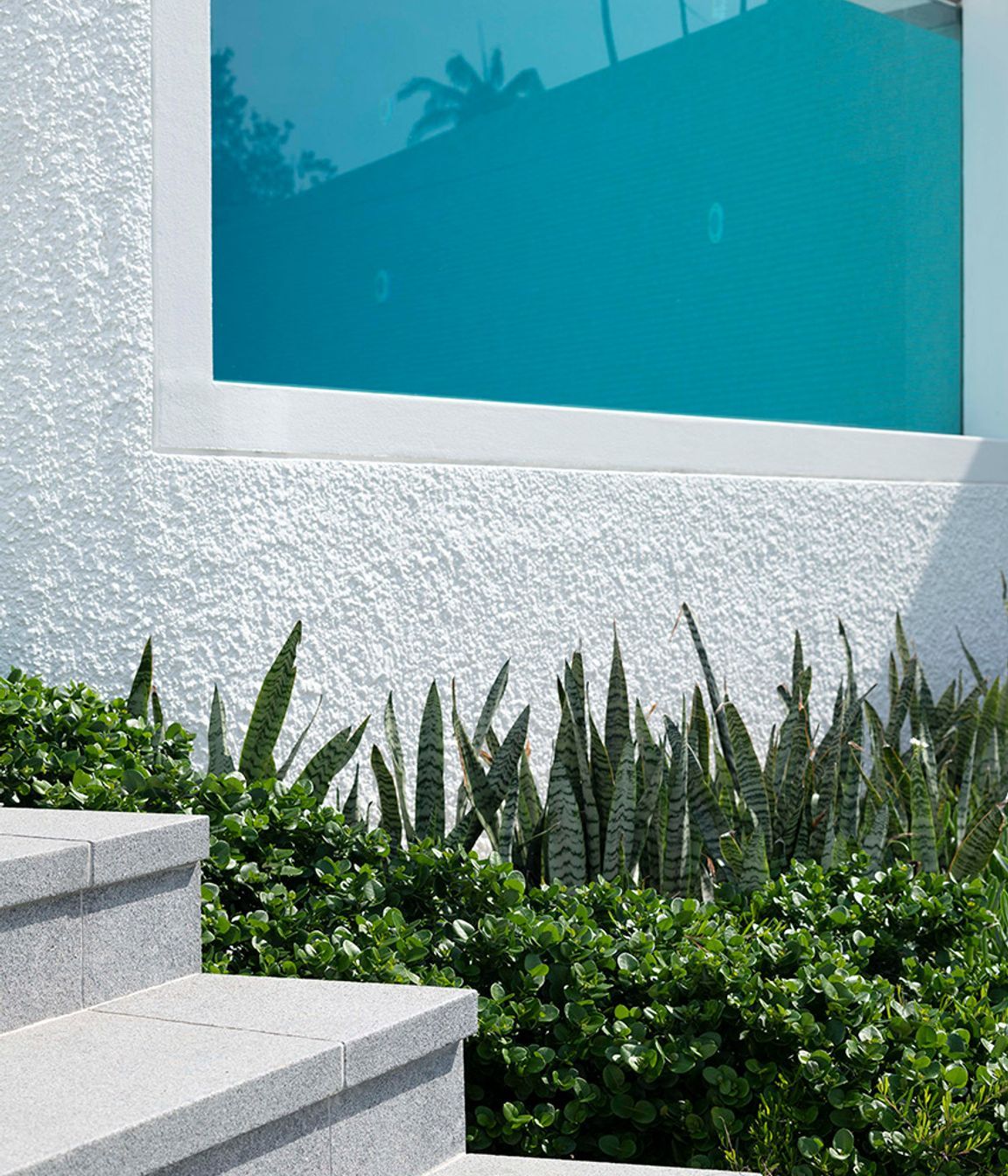 Cove House
