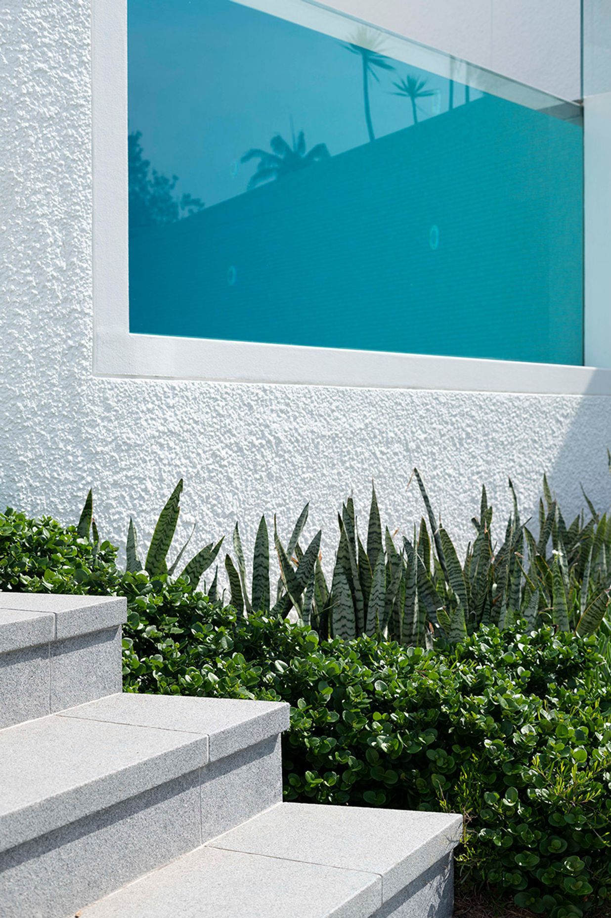 Cove House