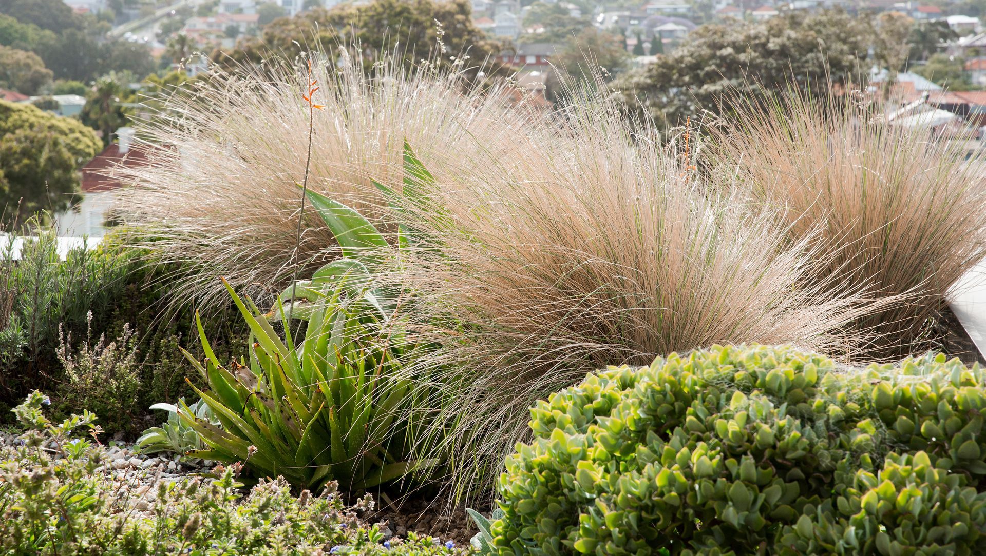 St Thomas St. banner