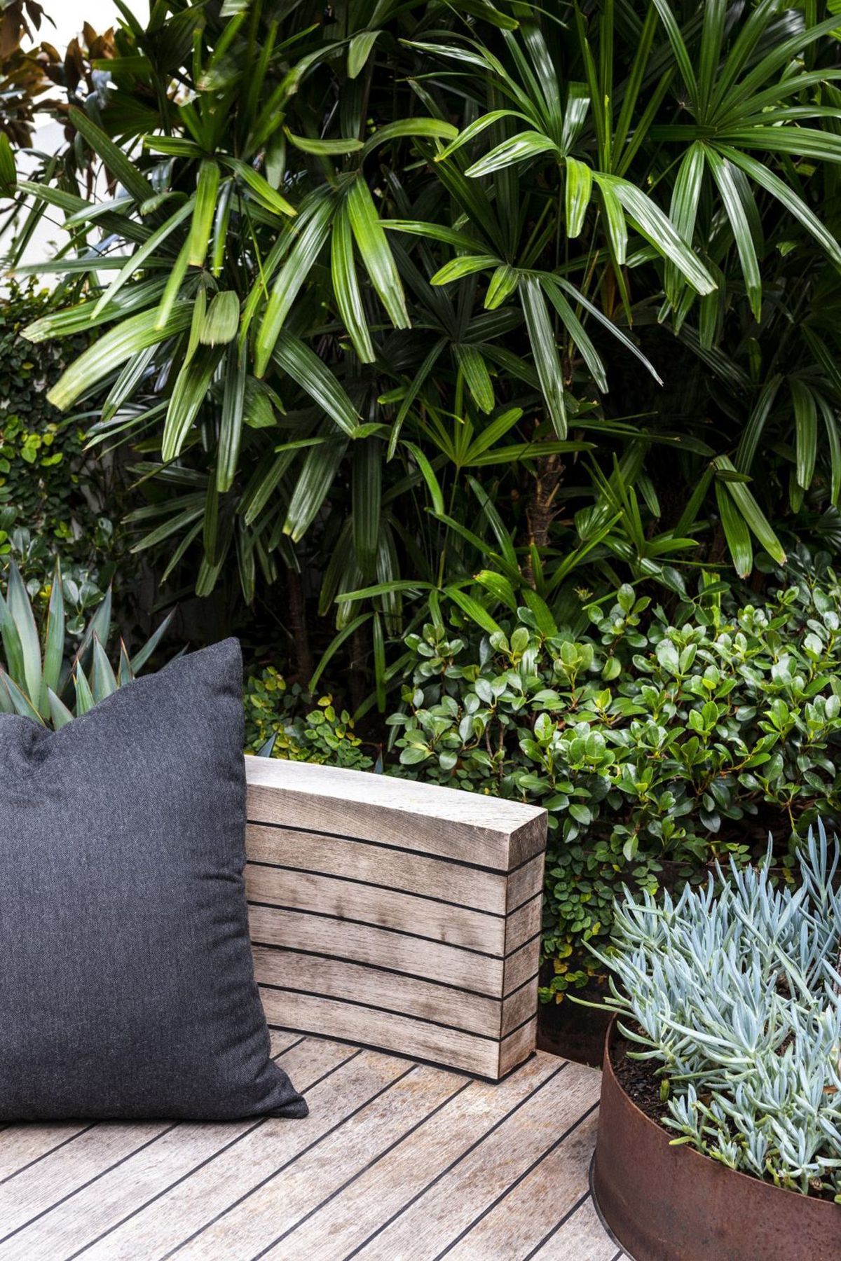 SURRY-HILLS15.jpg