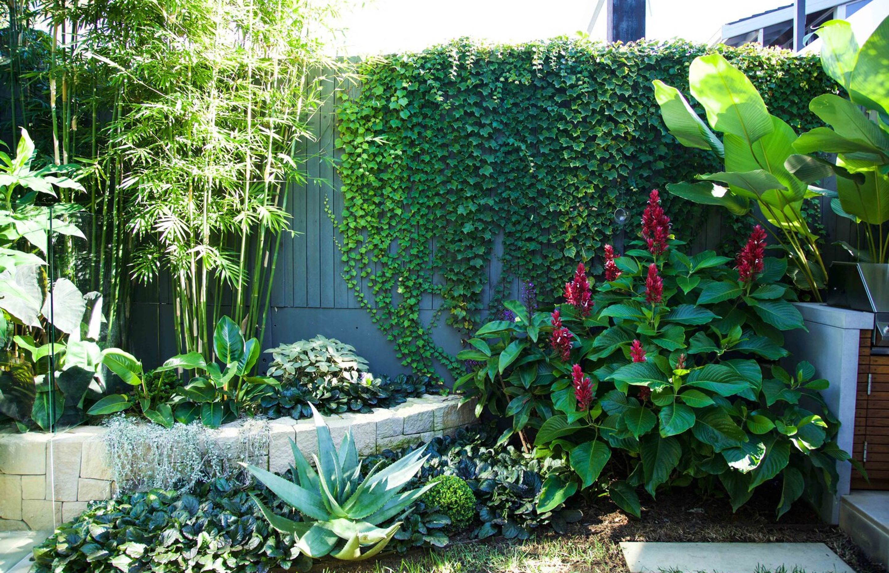 Plunge Garden