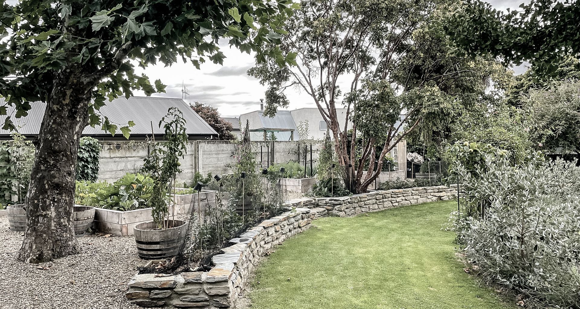 Sargood Drive, Wanaka banner