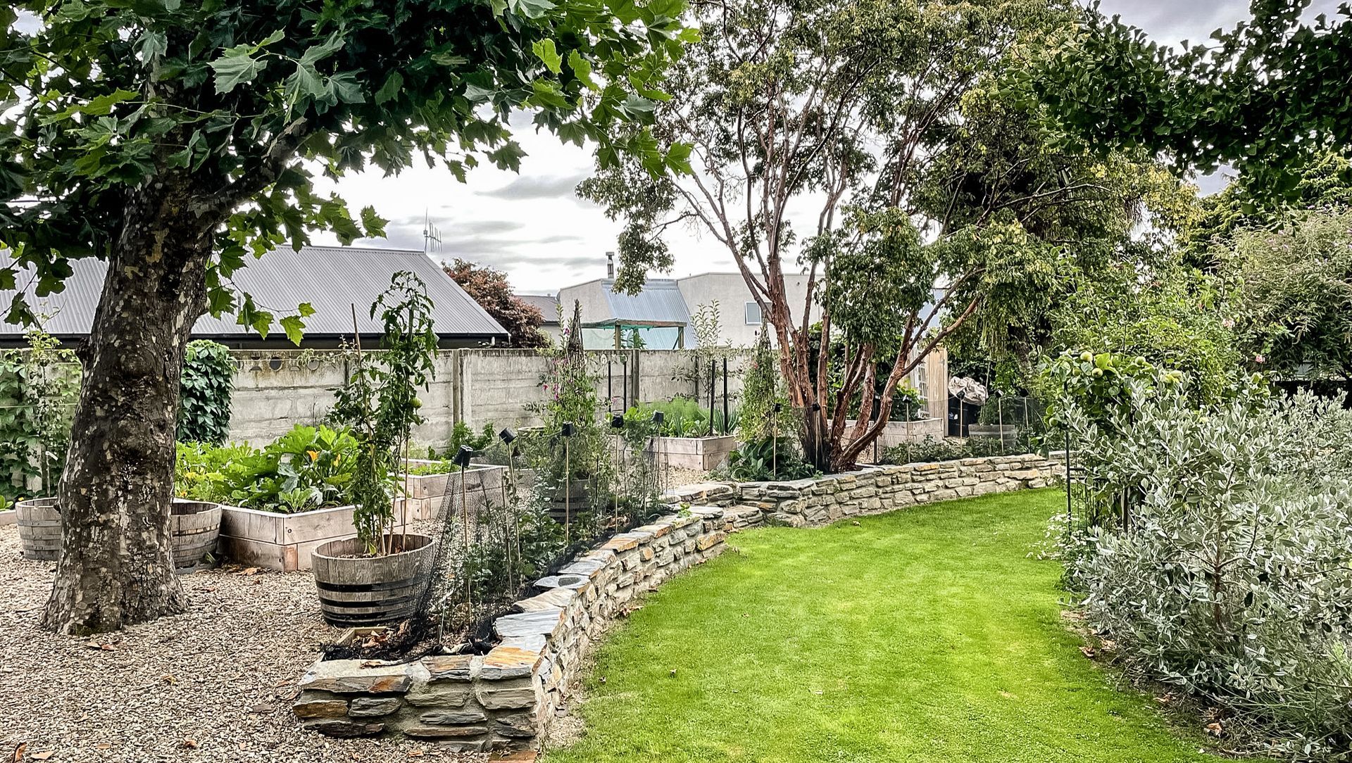 Sargood Drive, Wanaka banner