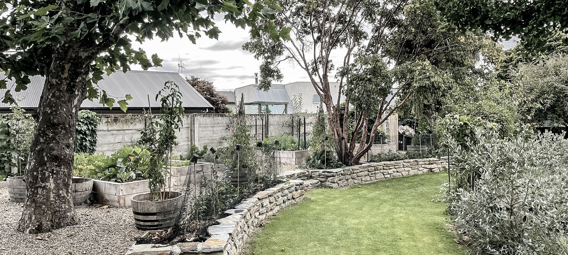 Sargood Drive, Wanaka banner