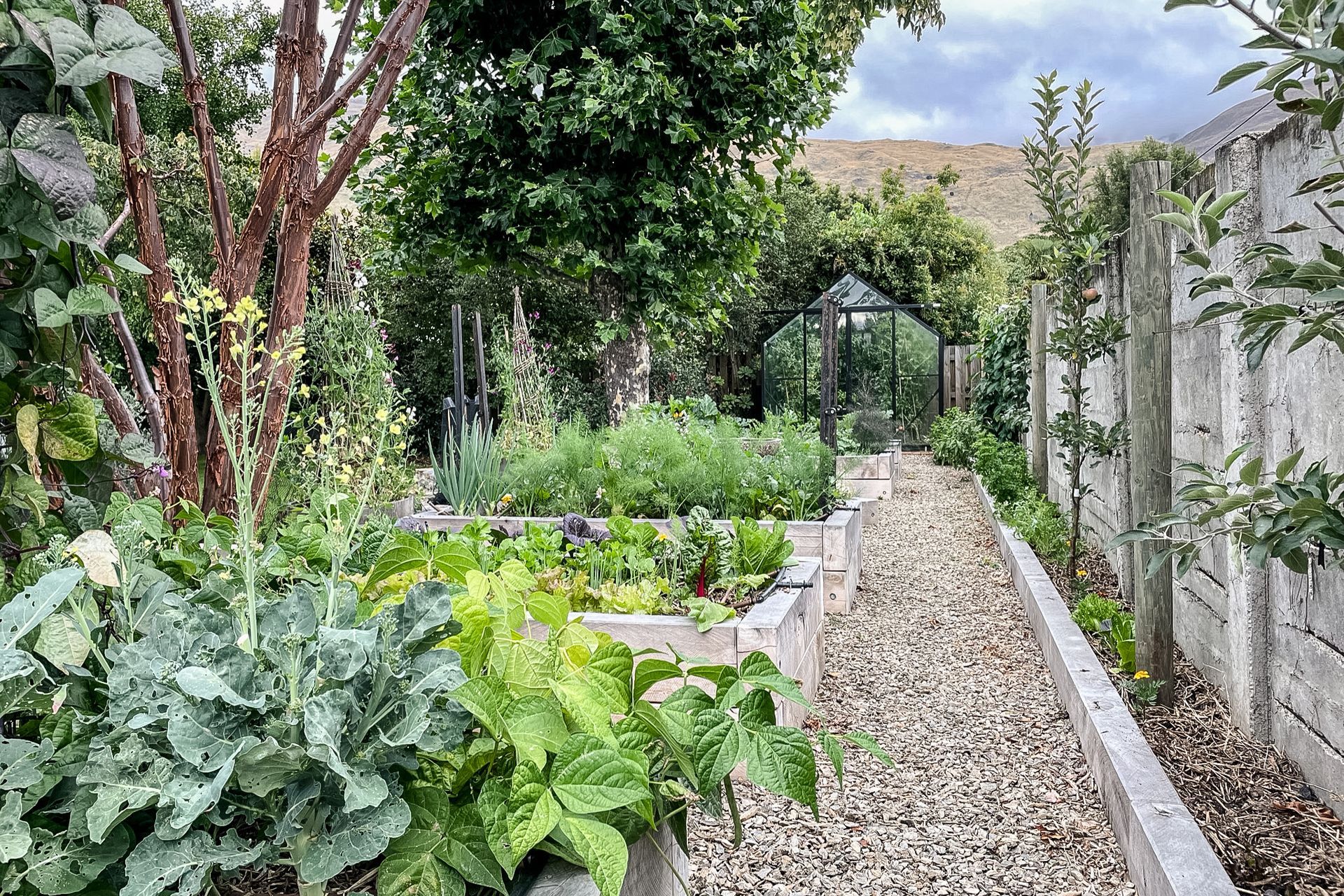 Sargood Drive, Wanaka