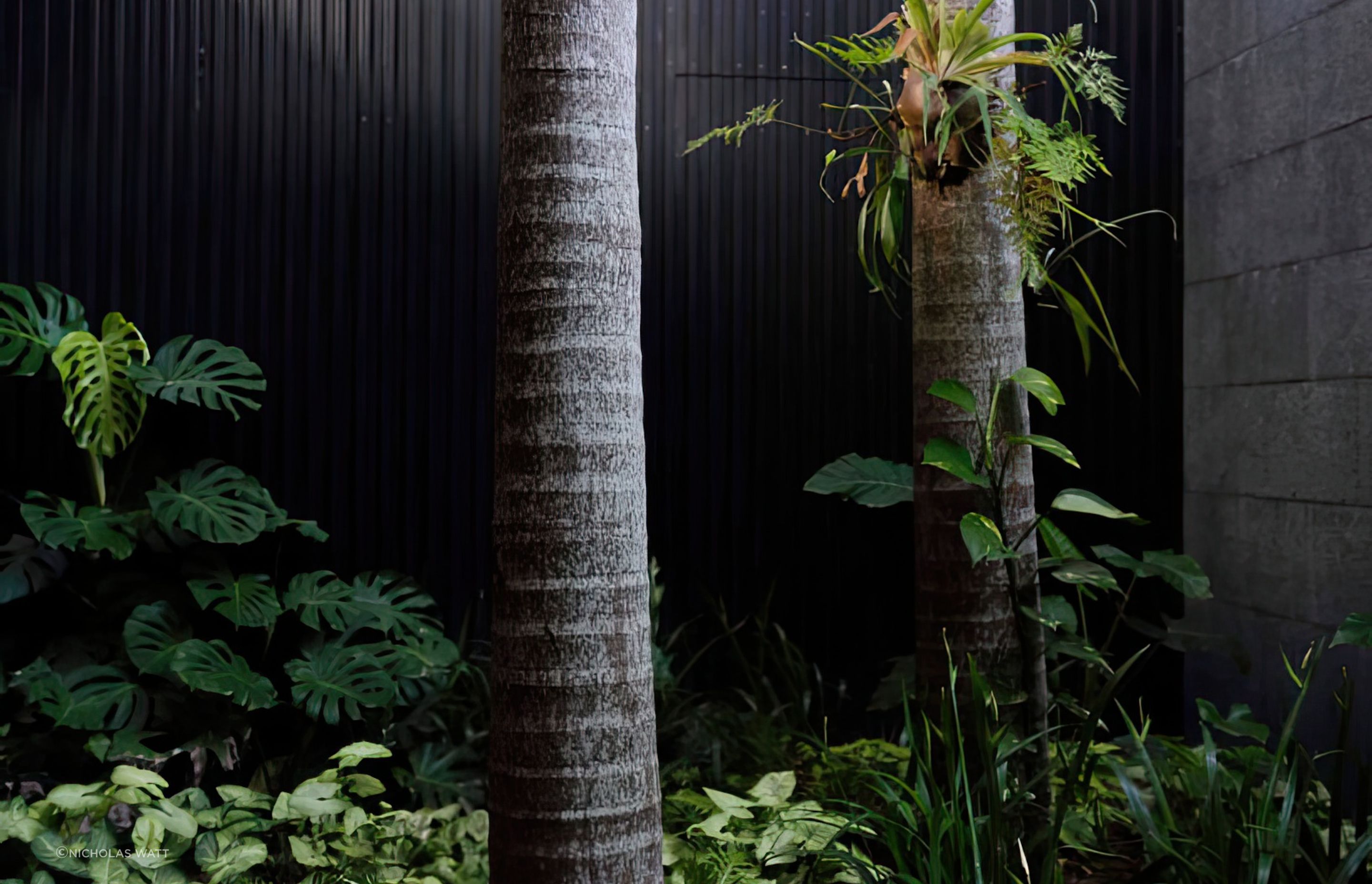 ScaledBalmoral-Atrium9-818x573-art-scale-200x.jpeg