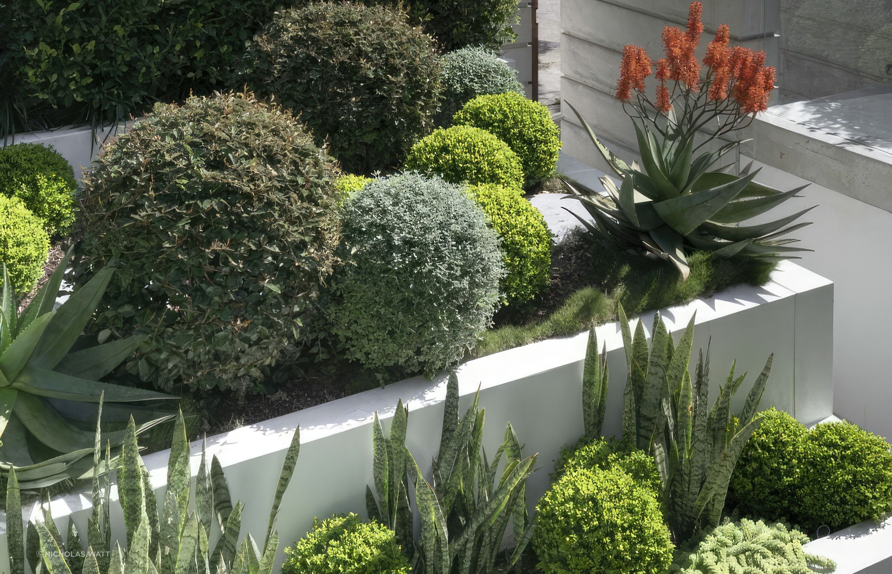 ScaledChic-Courtyard2-scaled-818x573-standard-scale-200x.jpeg