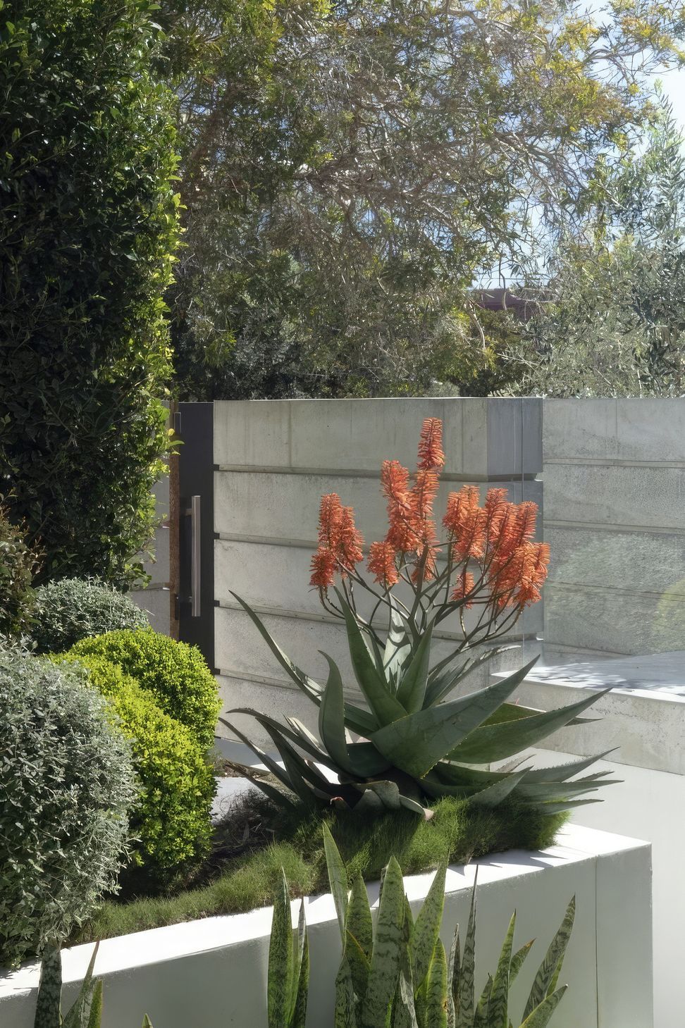 ScaledChic-Courtyard5-scaled-818x1020-standard-scale-200x.jpeg