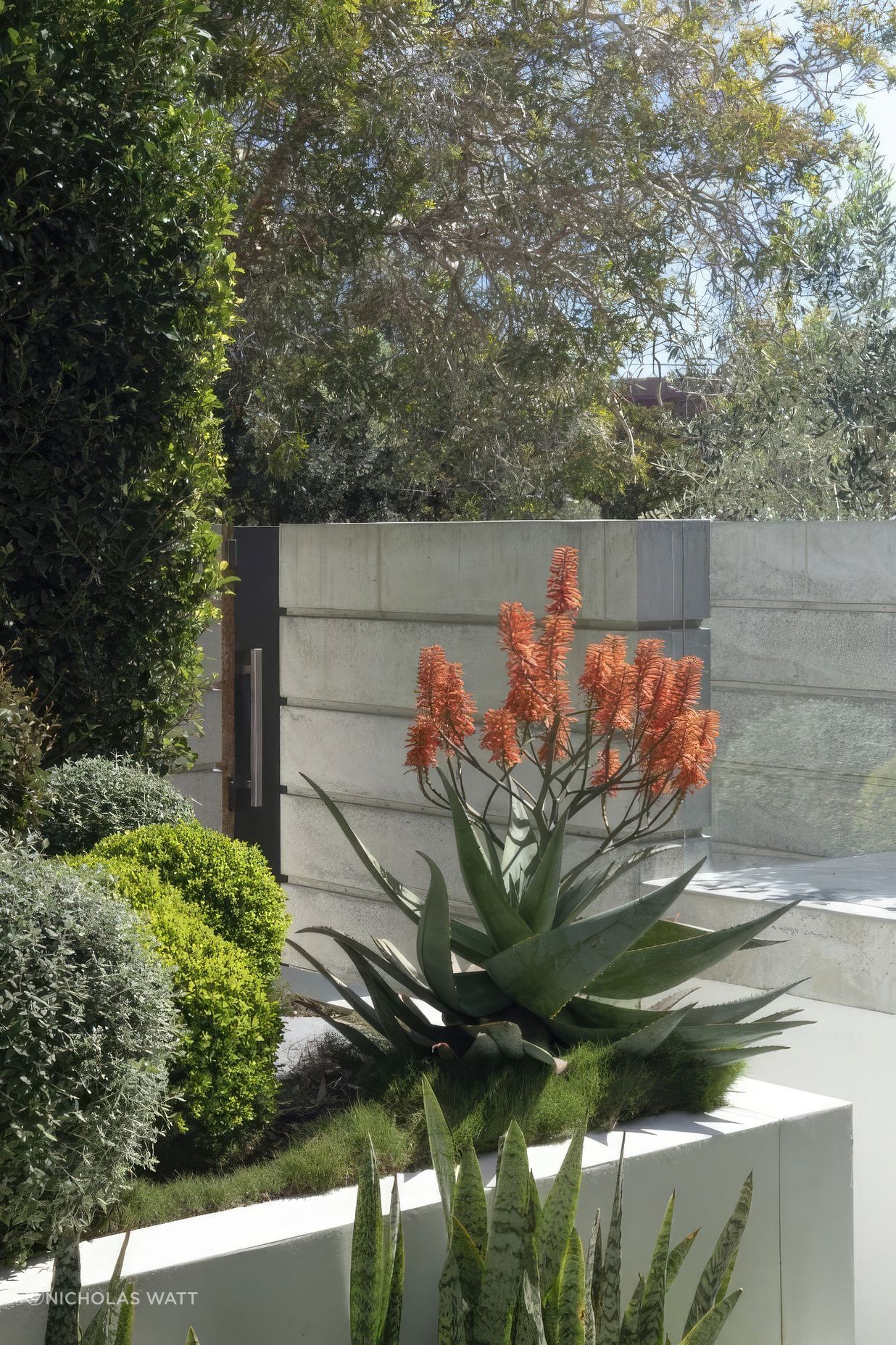 ScaledChic-Courtyard5-scaled-818x1020-standard-scale-200x.jpeg