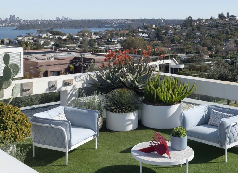 Dover Heights Rooftop