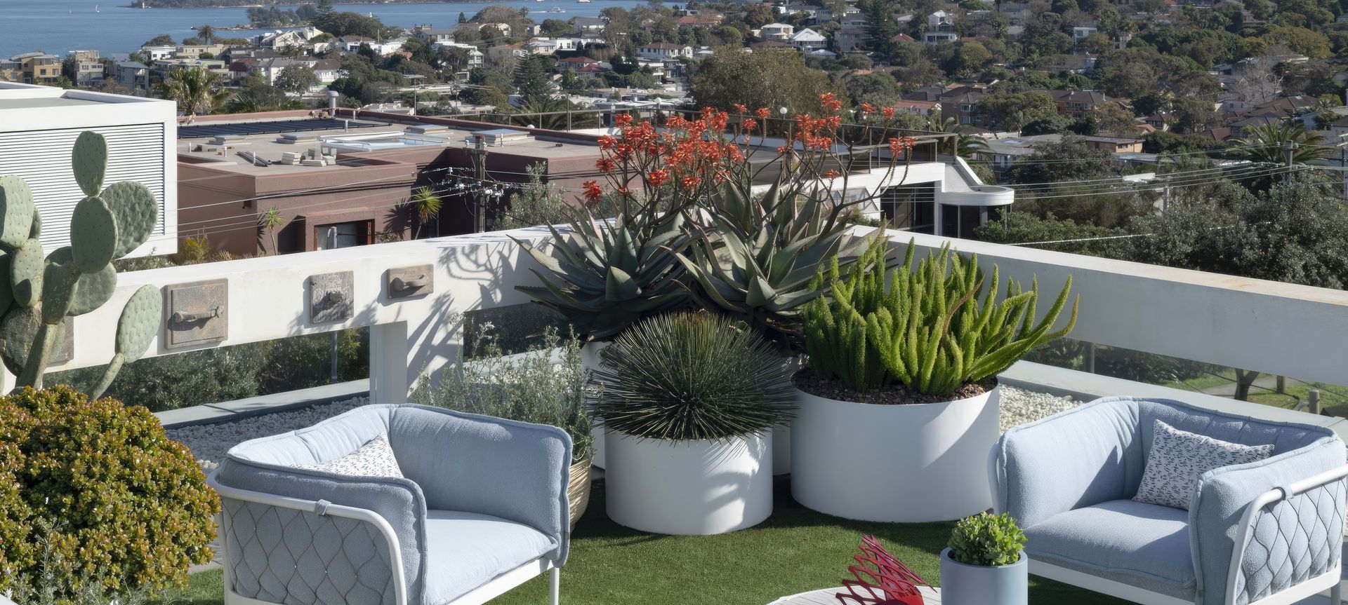 Dover Heights Rooftop banner