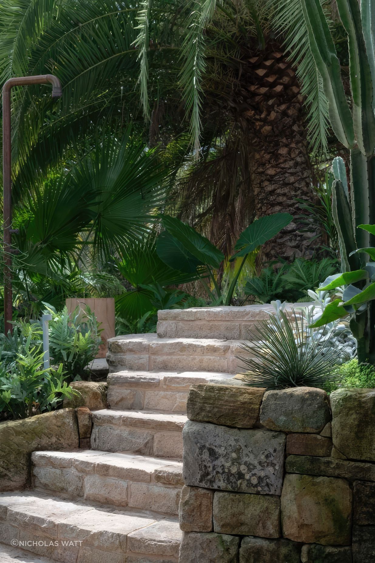 ScaledGarden-LifeDesign-Project-Relaxed-Retreat10-818x1020-standard-scale-200x.jpeg