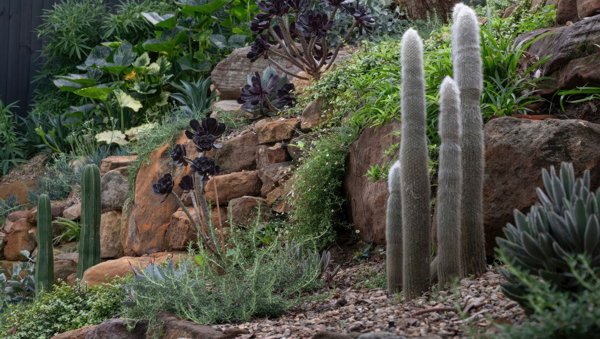 Relaxed Retreat banner