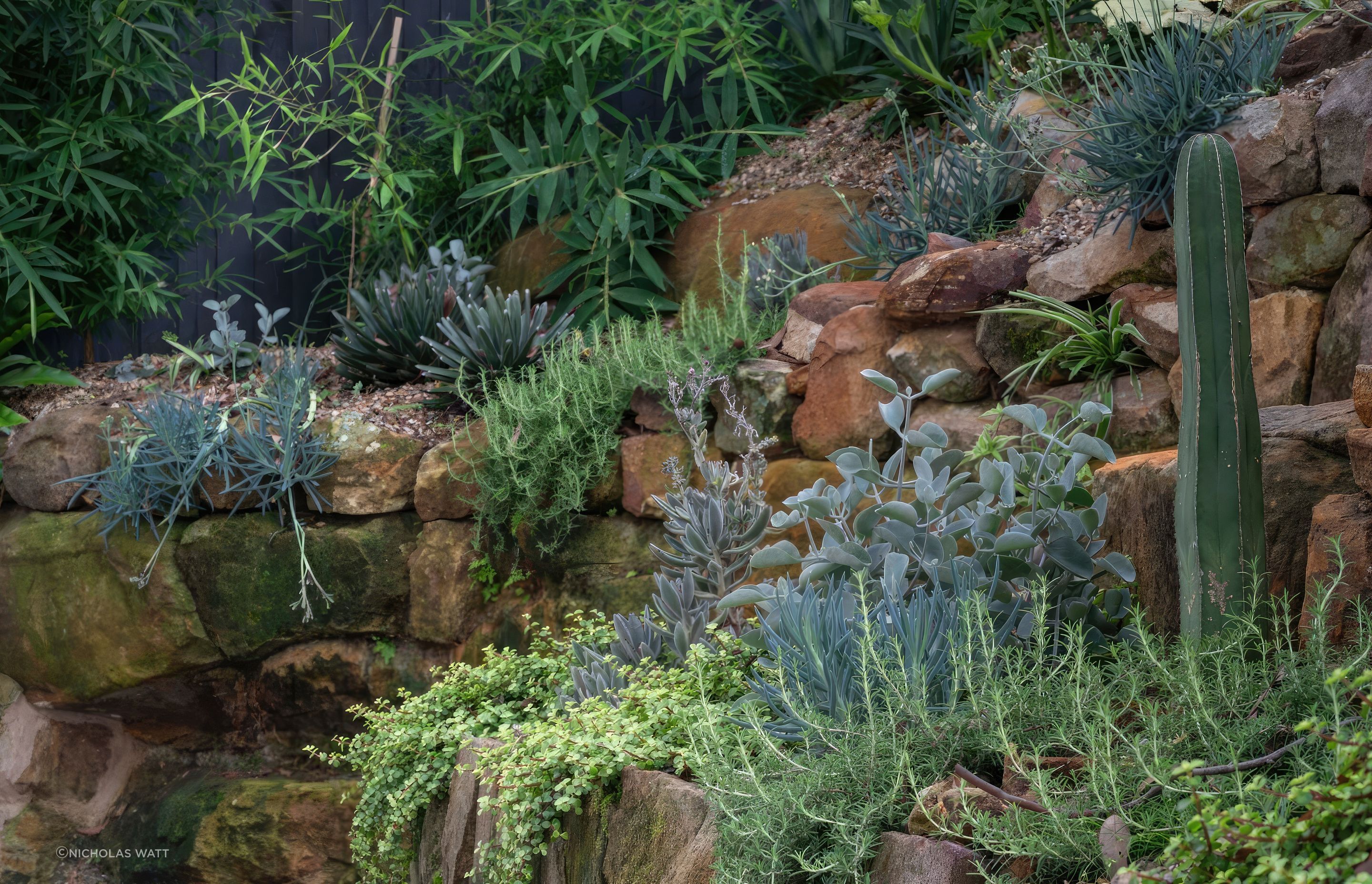 ScaledGarden-LifeDesign-Project-Relaxed-Retreat3-1695x1020-standard-scale-200x.jpeg
