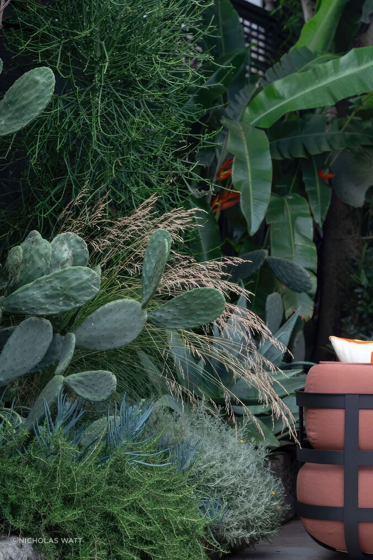 ScaledGarden-LifeDesignArtists-Garden6-818x1020-standard-scale-200x.jpeg