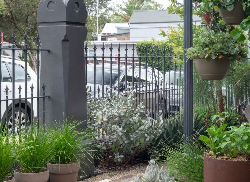 Neighbourhood Natural