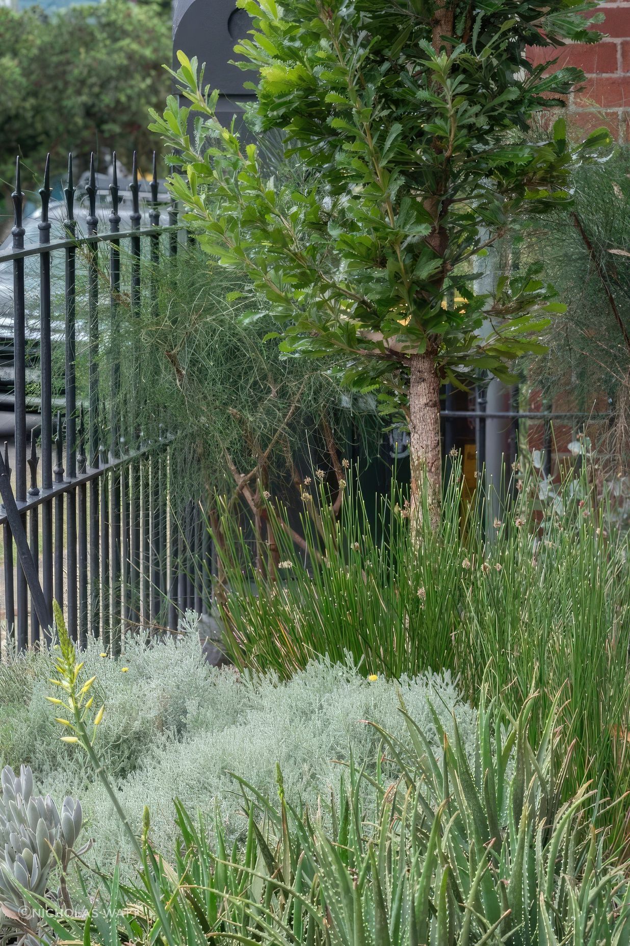 ScaledGarden-LifeDesignNeighbourhoodNatural5-818x1020-standard-scale-200x.jpg